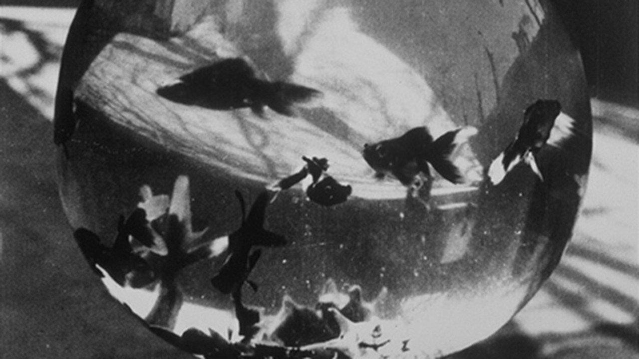 Bocal aux poissons rouges 1897 movie scene