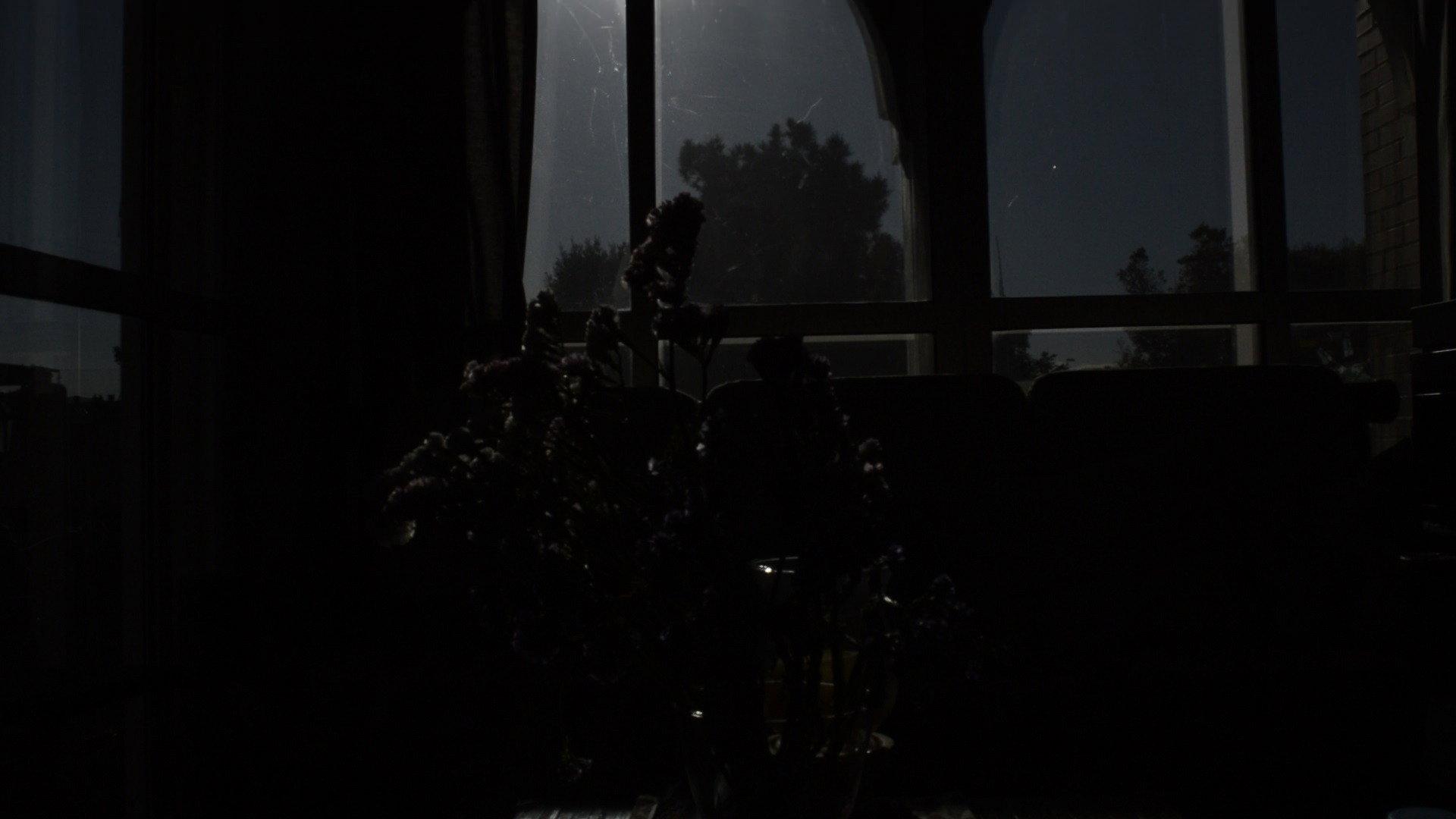 CRISALIDA  movie scene