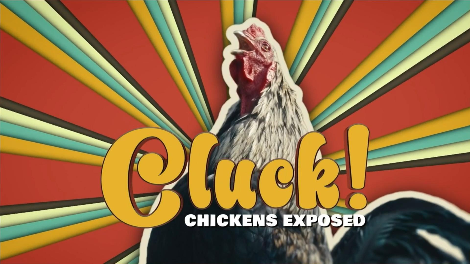 Cluck! Chickens Exposed 2026 movie scene