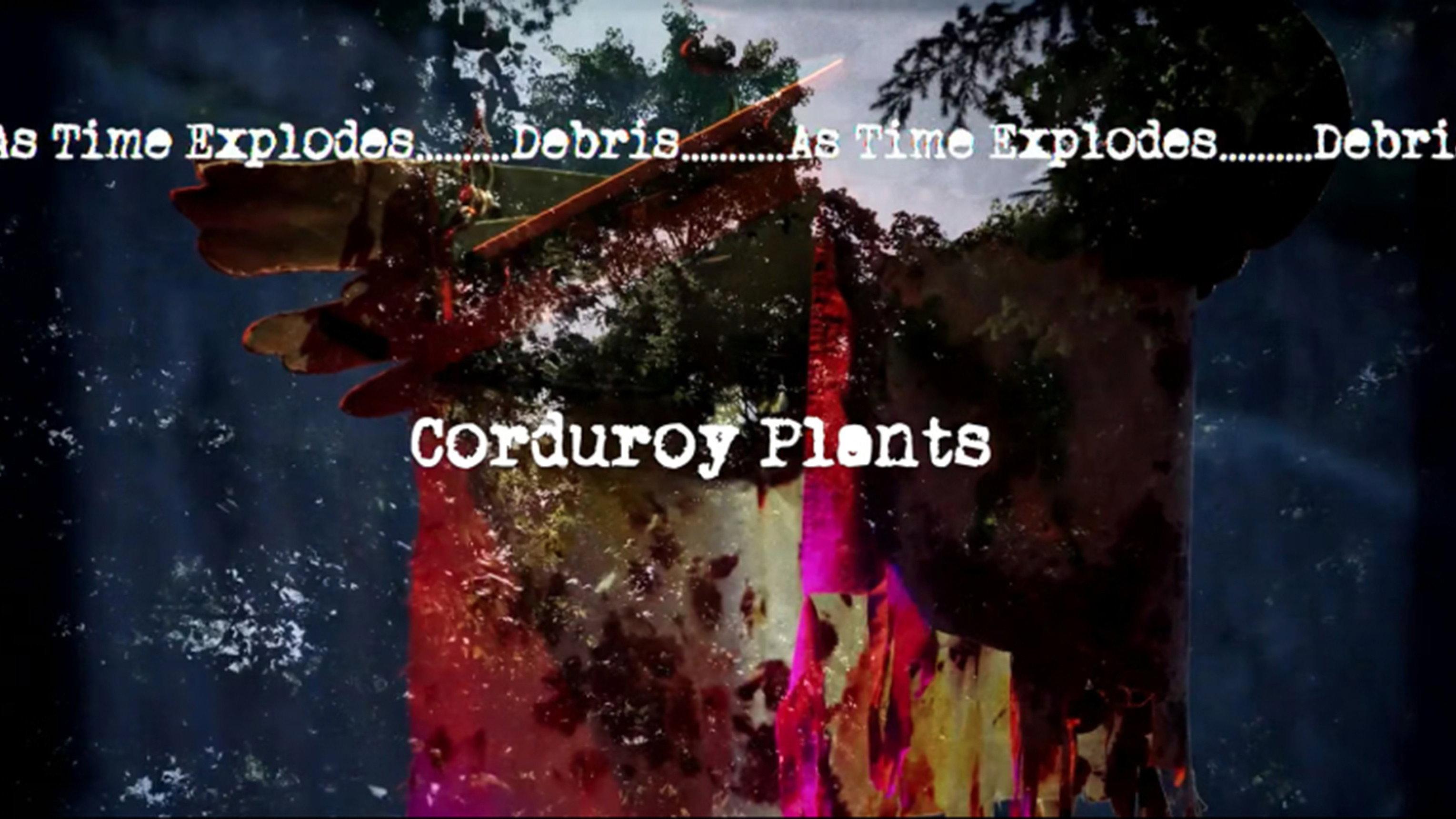 Corduroy Plants 2026 movie scene