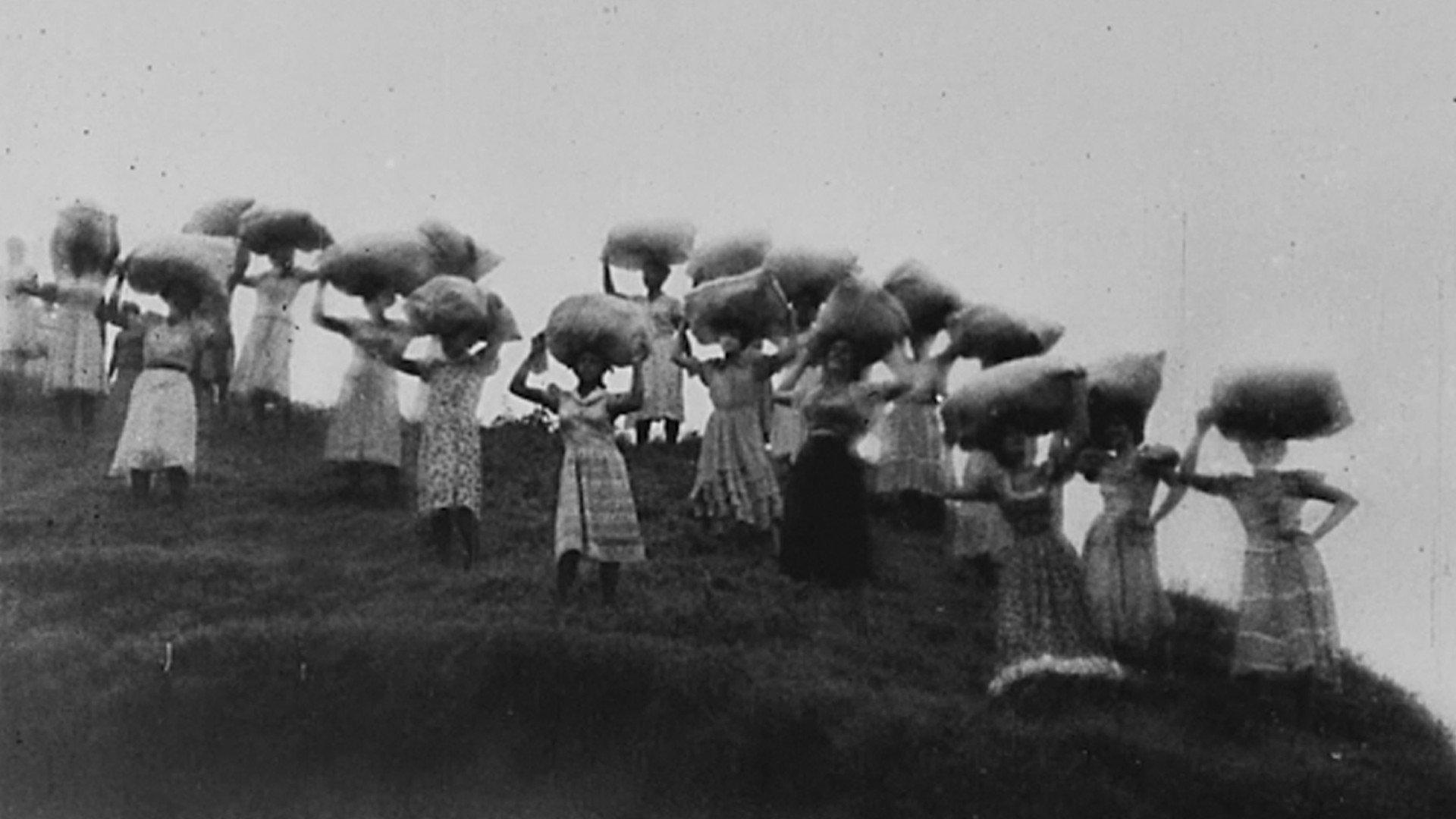 Lagoa Santa 1939 movie scene