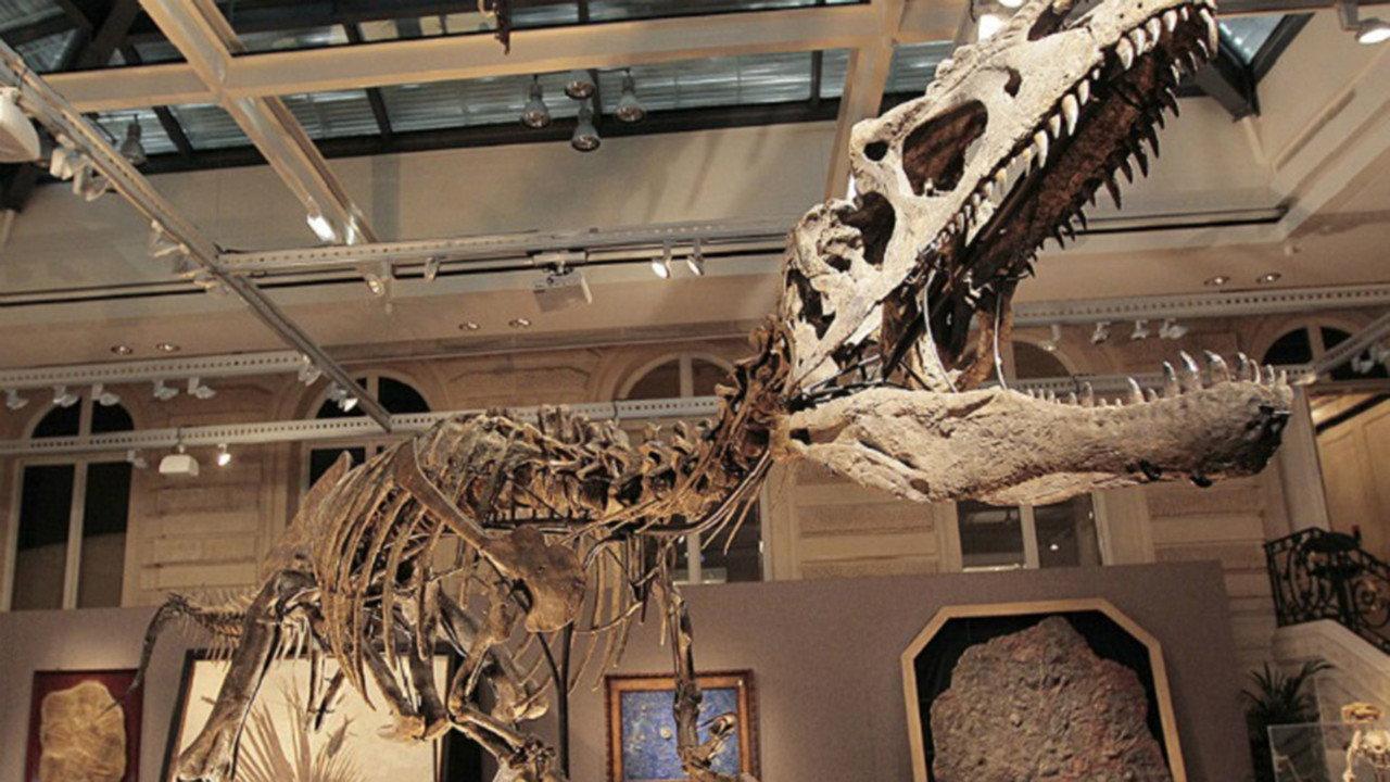 Dinosaurs 2018 movie scene