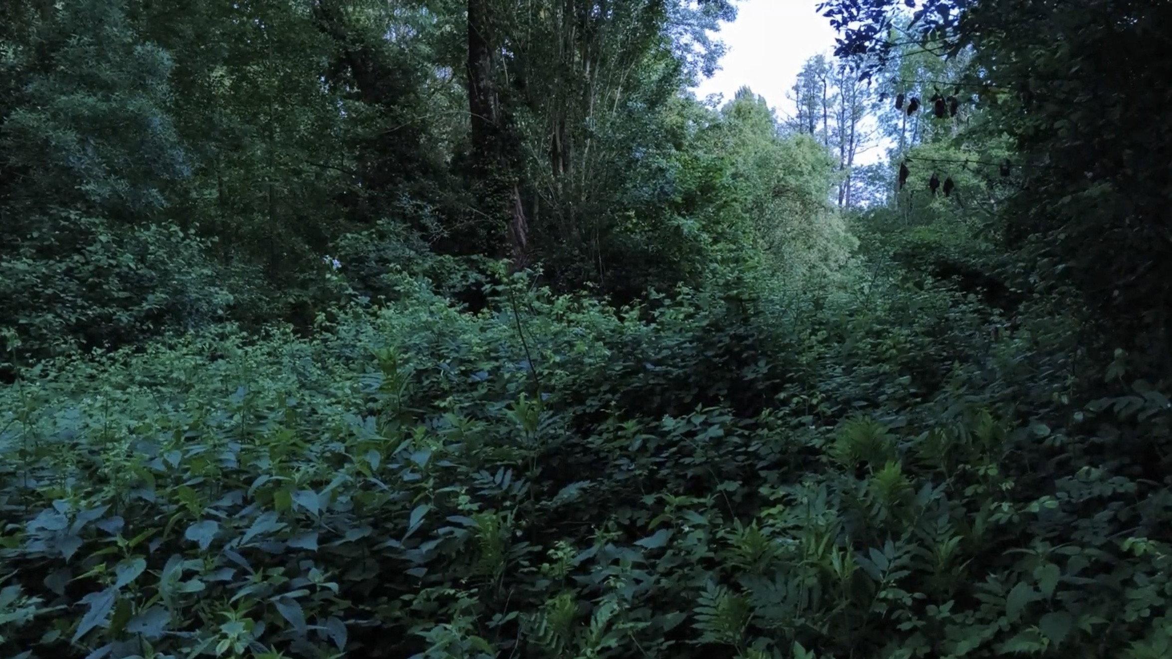 Ecosystem Washing 2026 movie scene