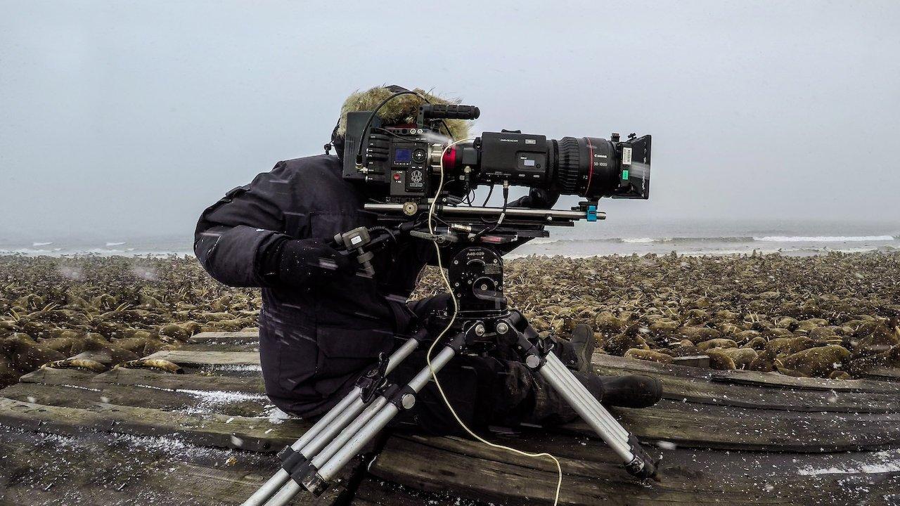 Our Planet: Behind the Scenes 2019 movie scene