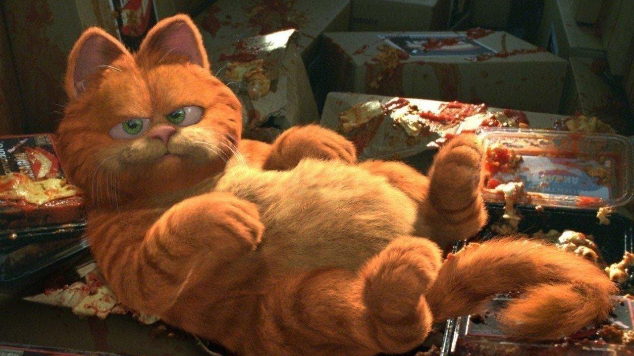 Garfield 2004 movie scene