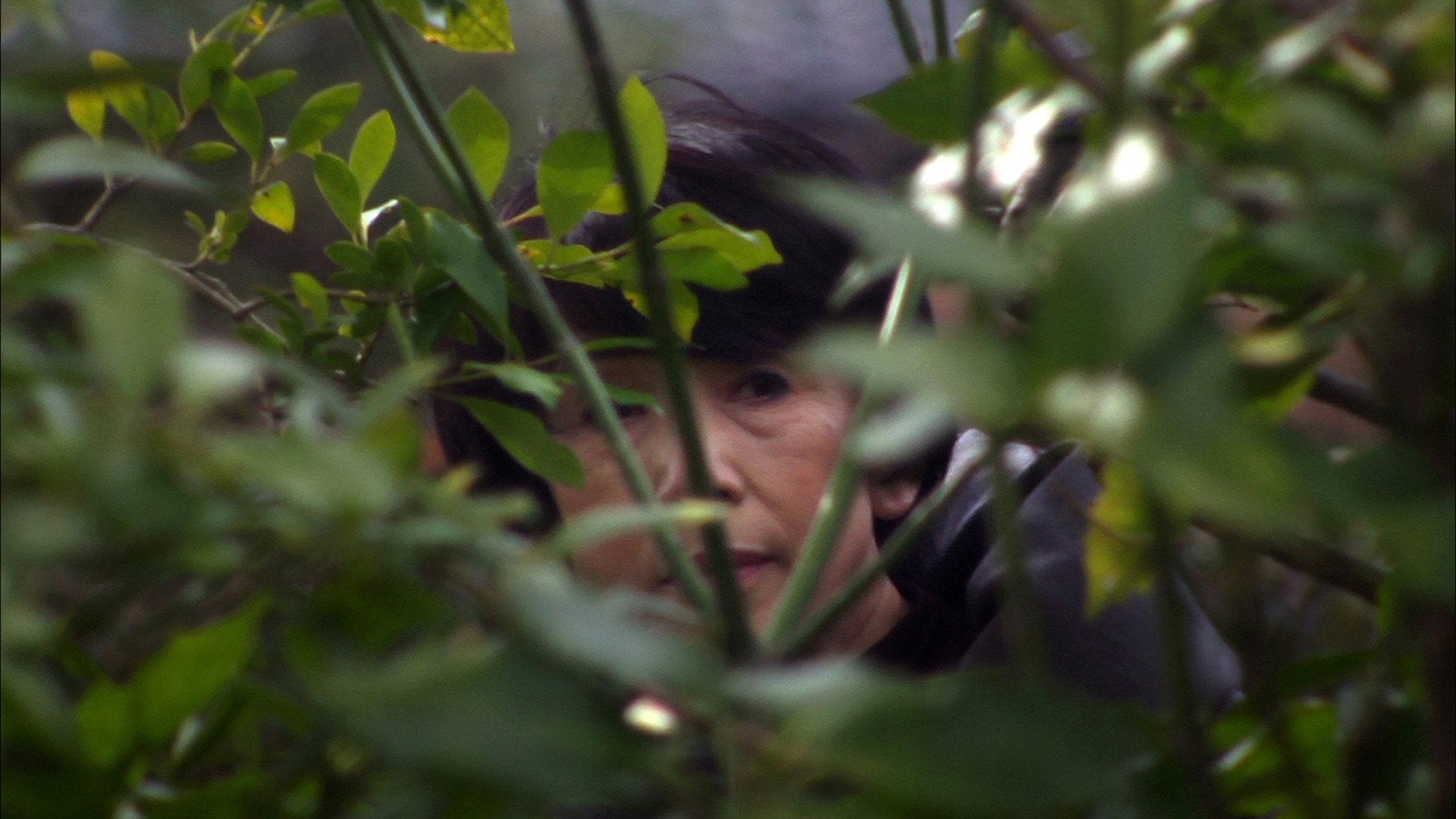 Serori 2014 movie scene