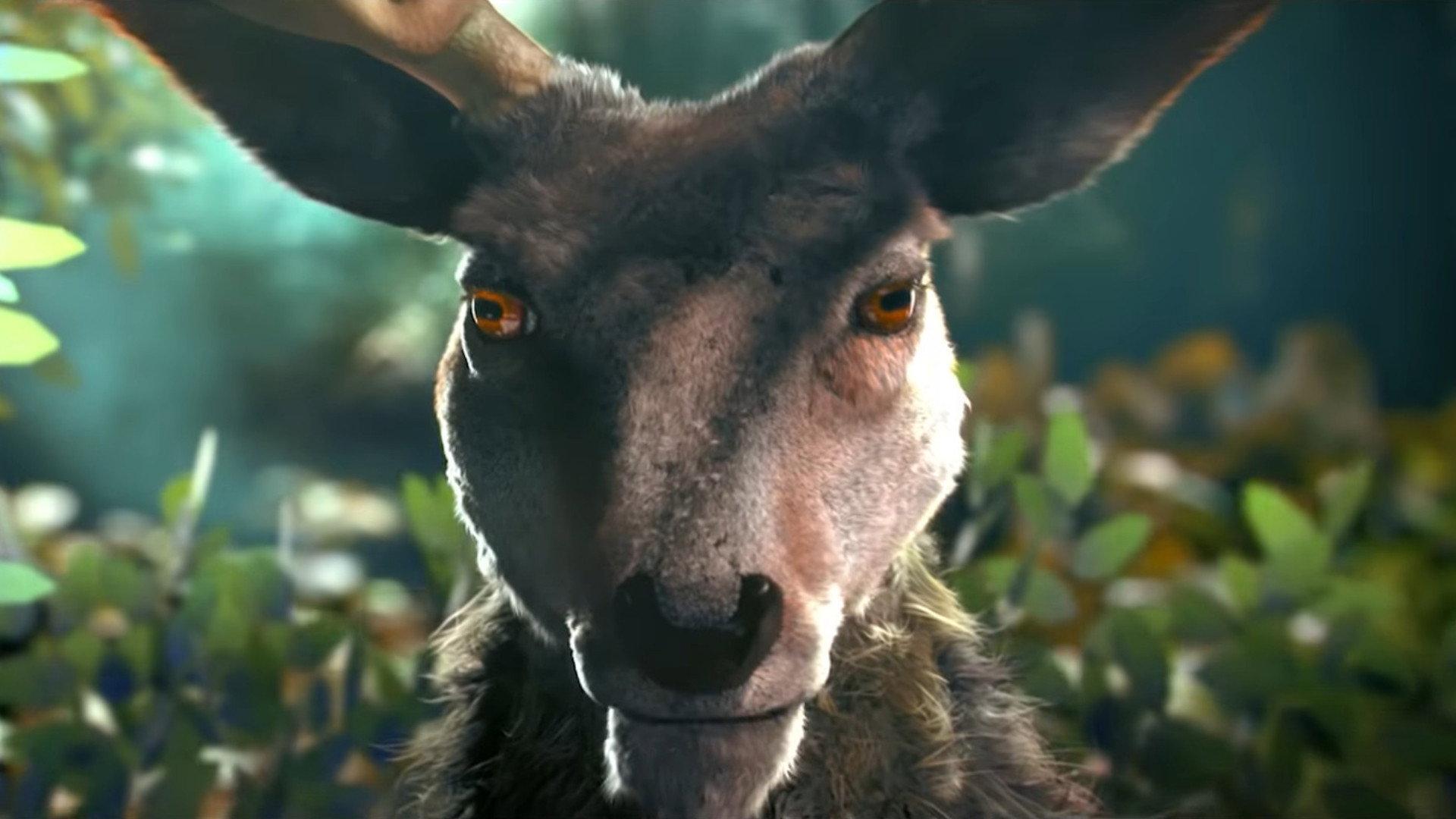 Anima 2014 movie scene