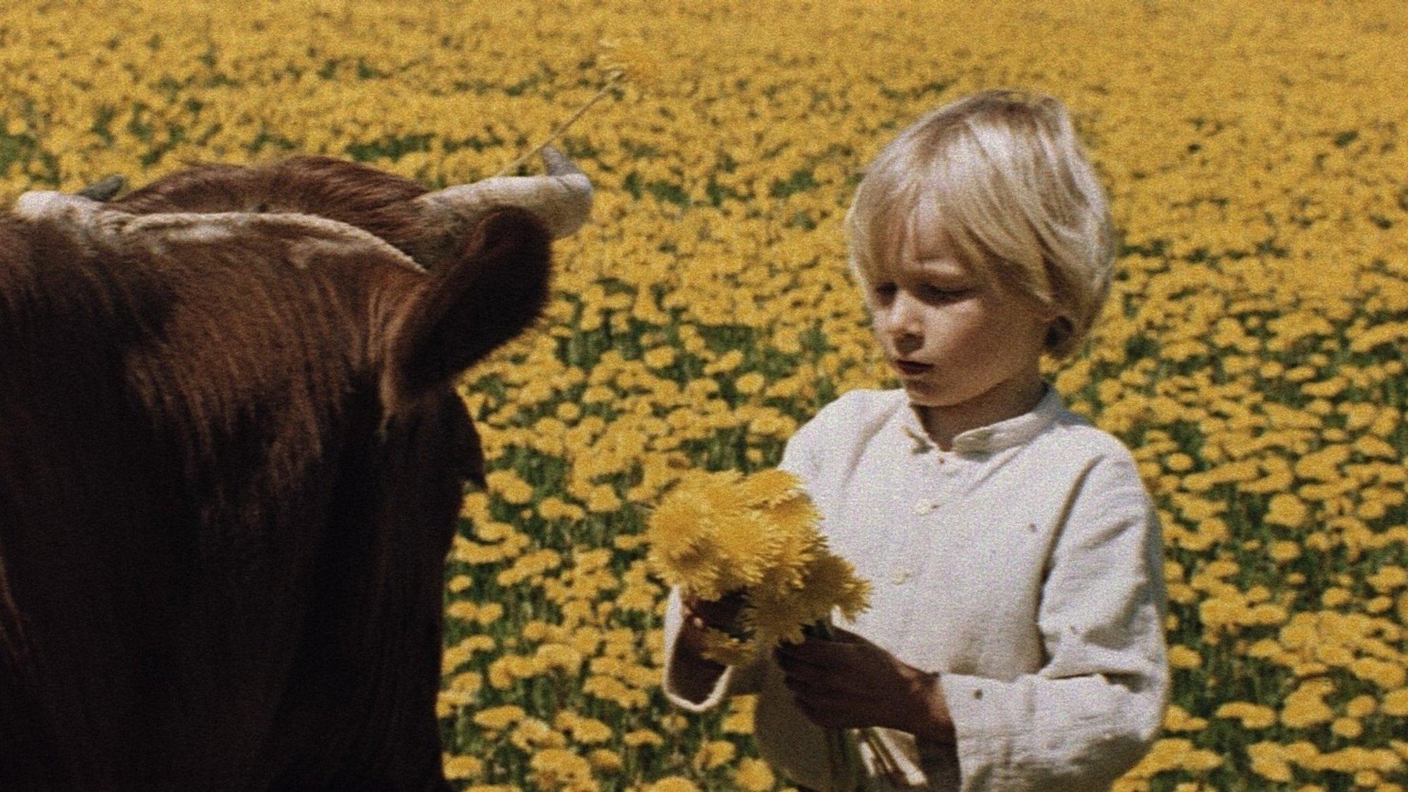 A Boy 1977 movie scene