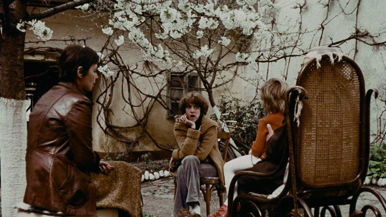 The Cuckoo Still Sings When It Rains 1978 movie scene