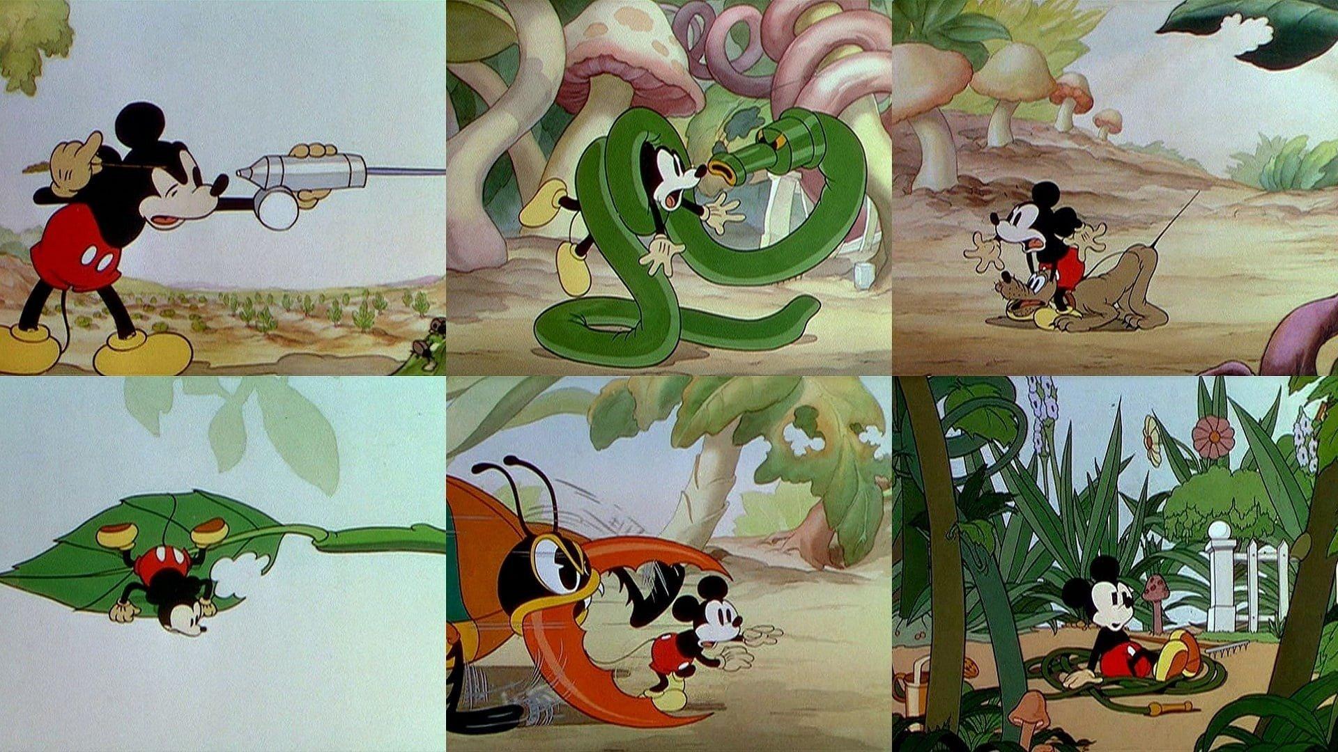 Mickey's Garden 1935 movie scene