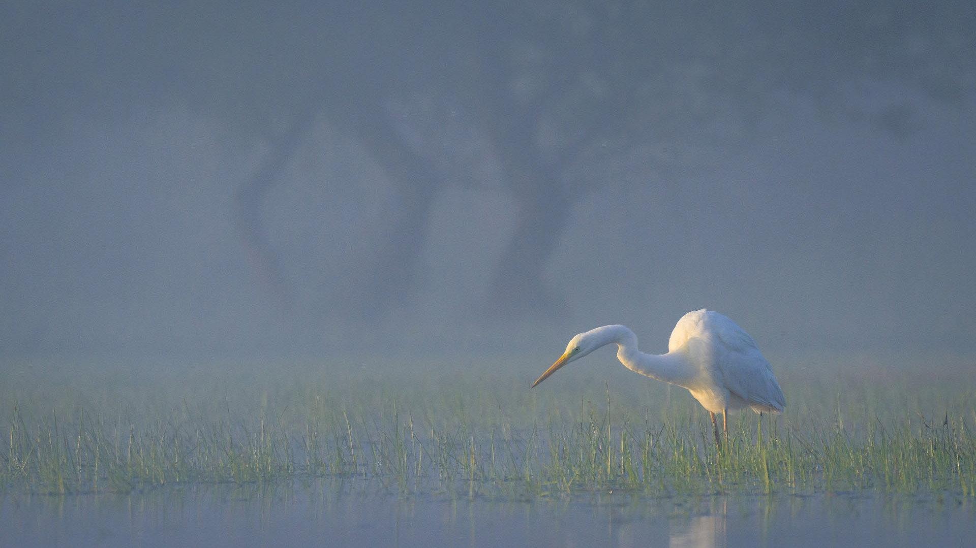 Wild Delta 2026 movie scene