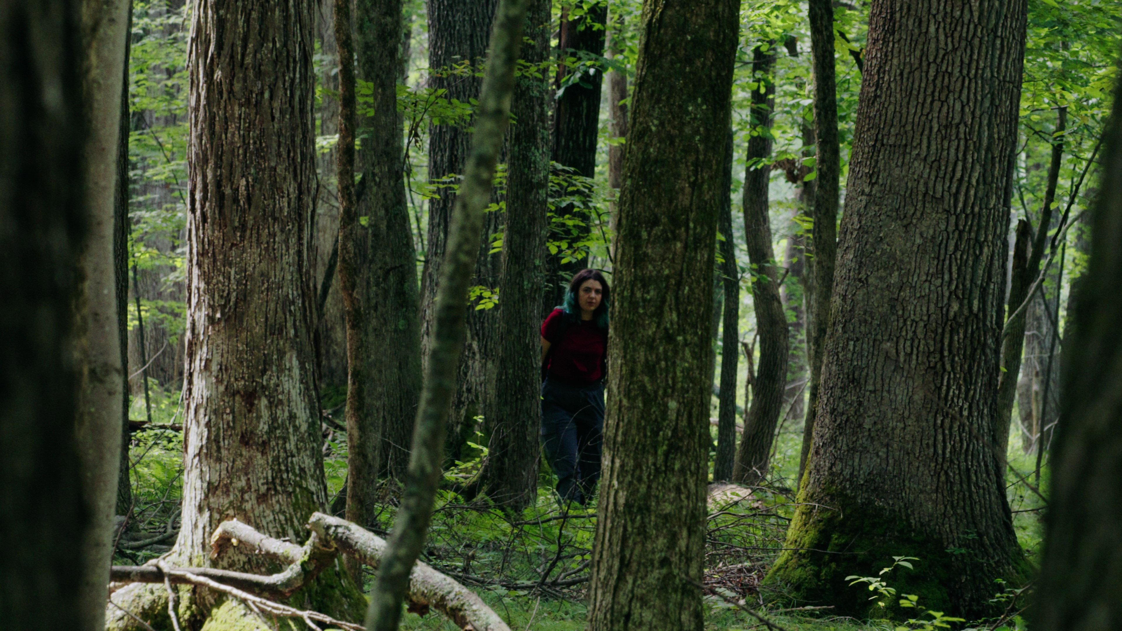 Through The Trees 2022 movie scene