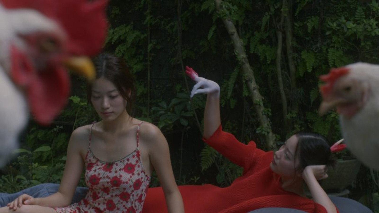 Chicken Stealing Eggs 2026 movie scene