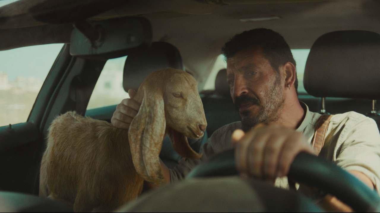 Qaher 2025 movie scene