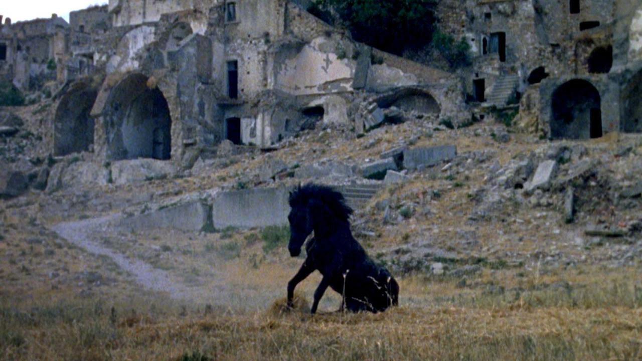 Montedoro 2016 movie scene