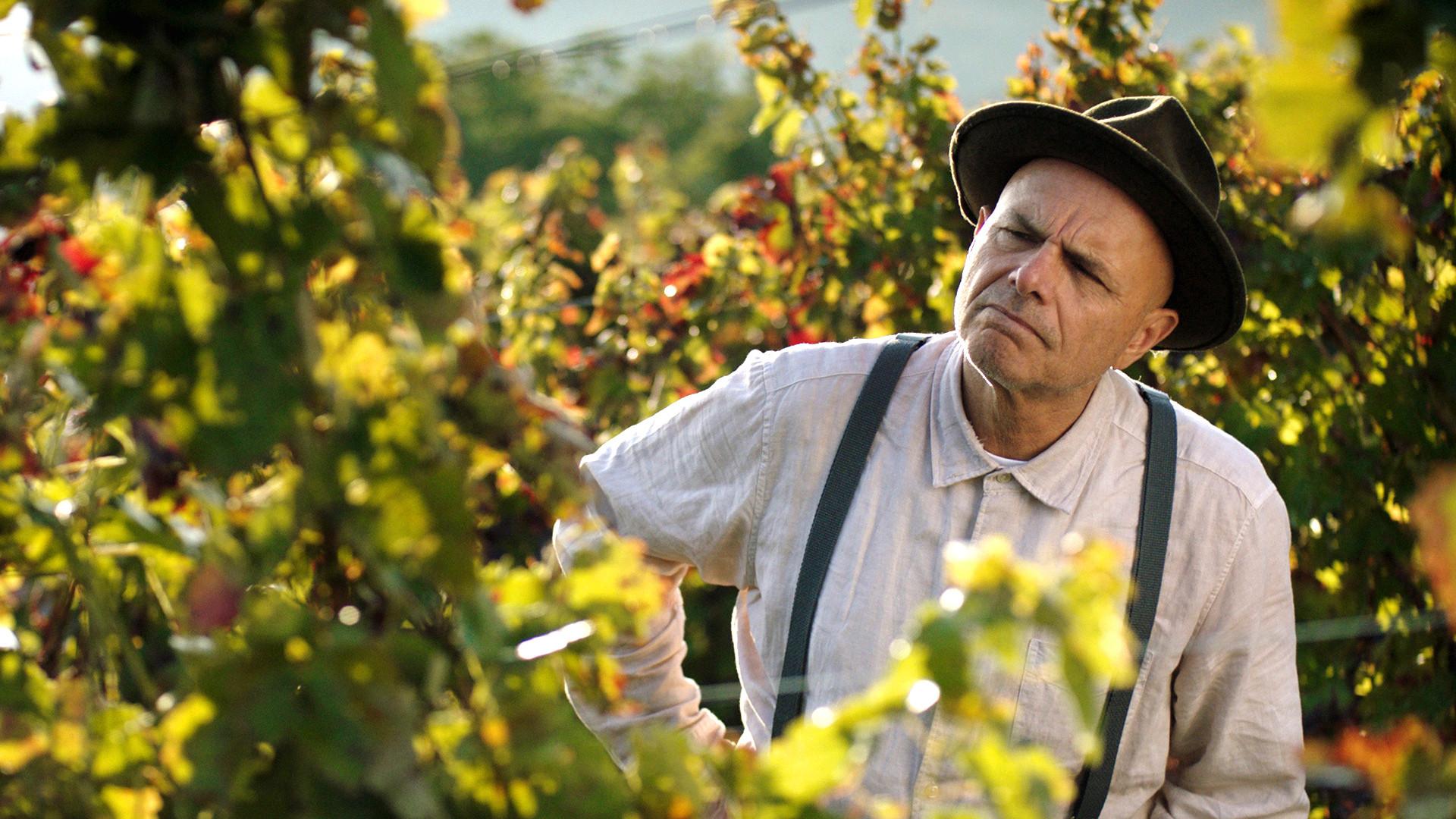 From the Vine 2019 movie scene