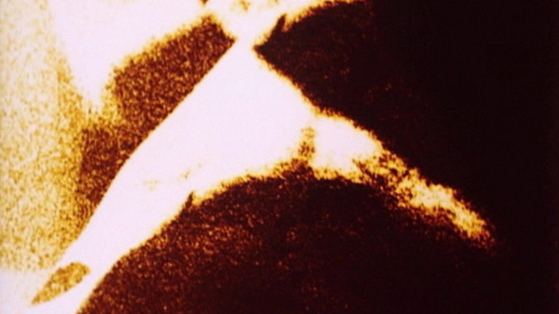 Spectral Cycle 2009 movie scene