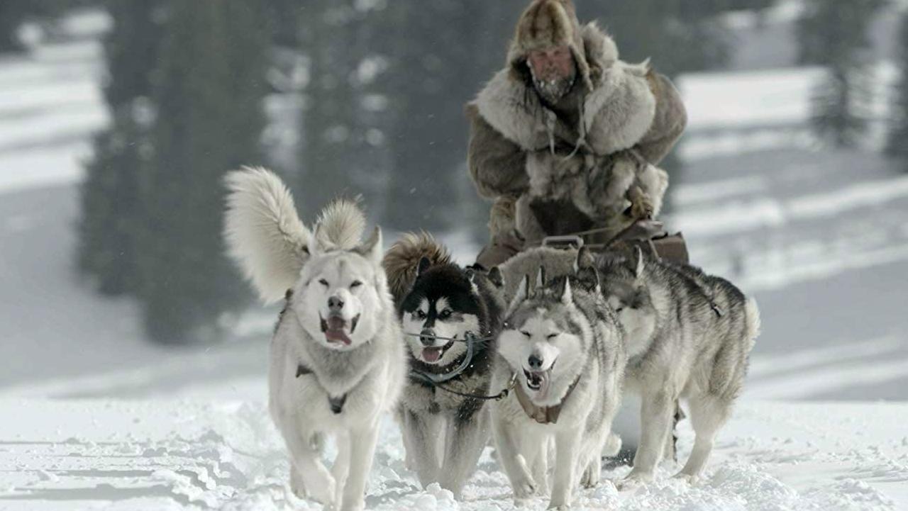 The Great Alaskan Race 2019 movie scene