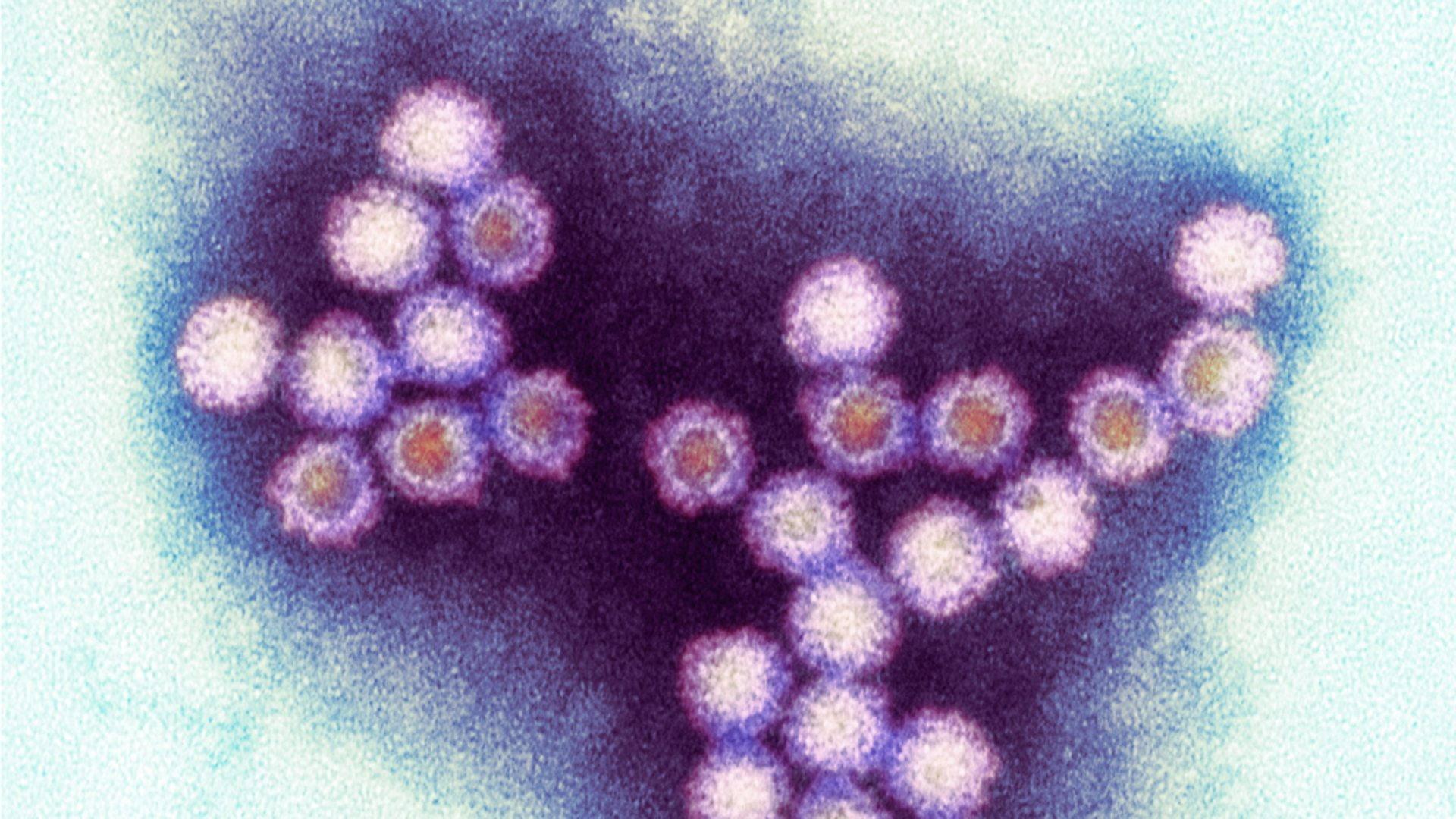 Winter Viruses and How to Beat Them 2013 movie scene