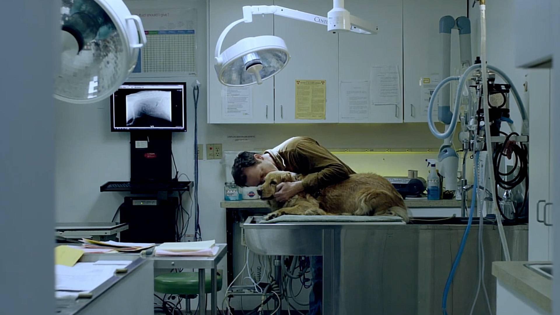Swan Song 2015 movie scene