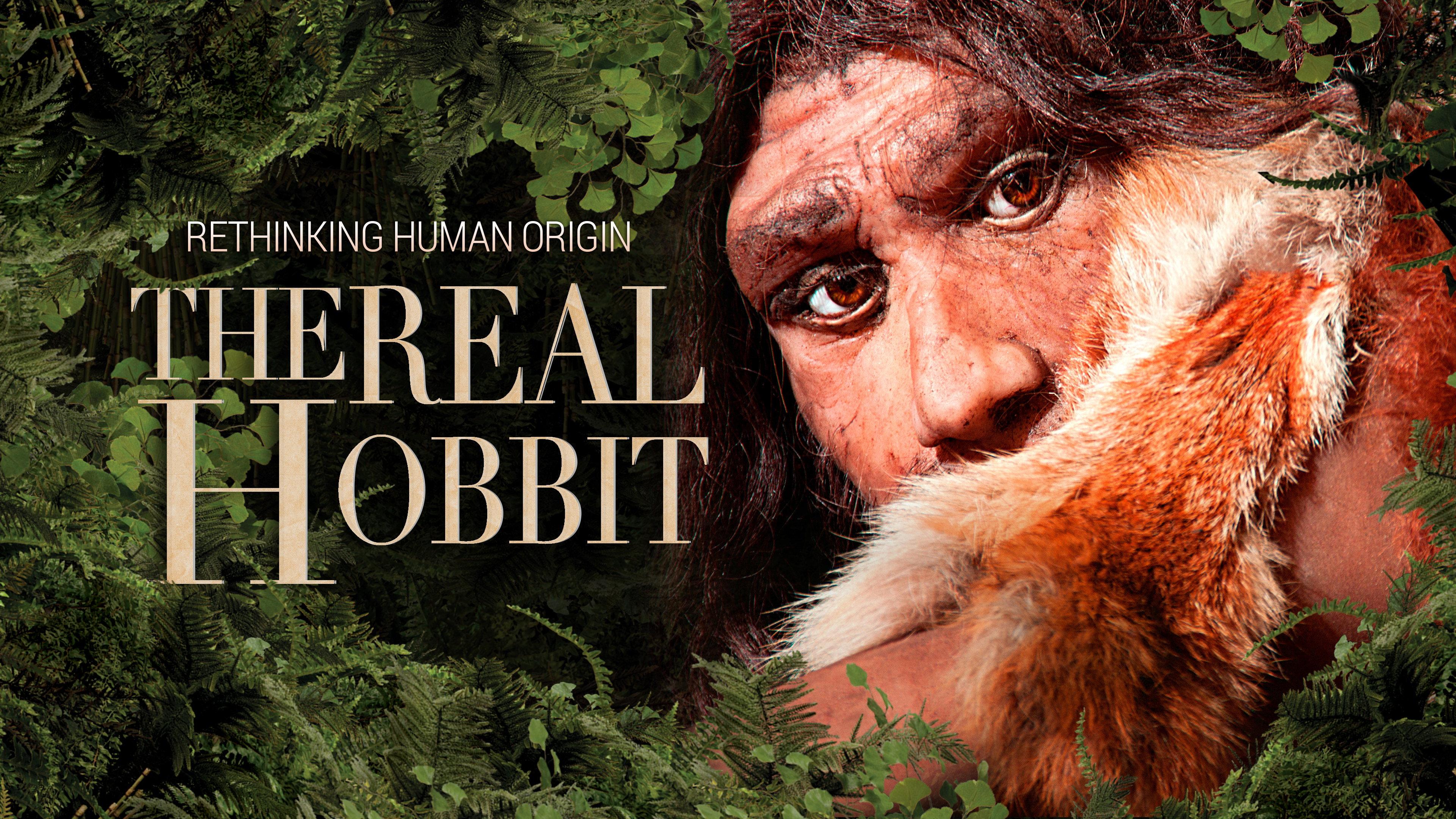 The Hobbit Enigma 2008 movie scene