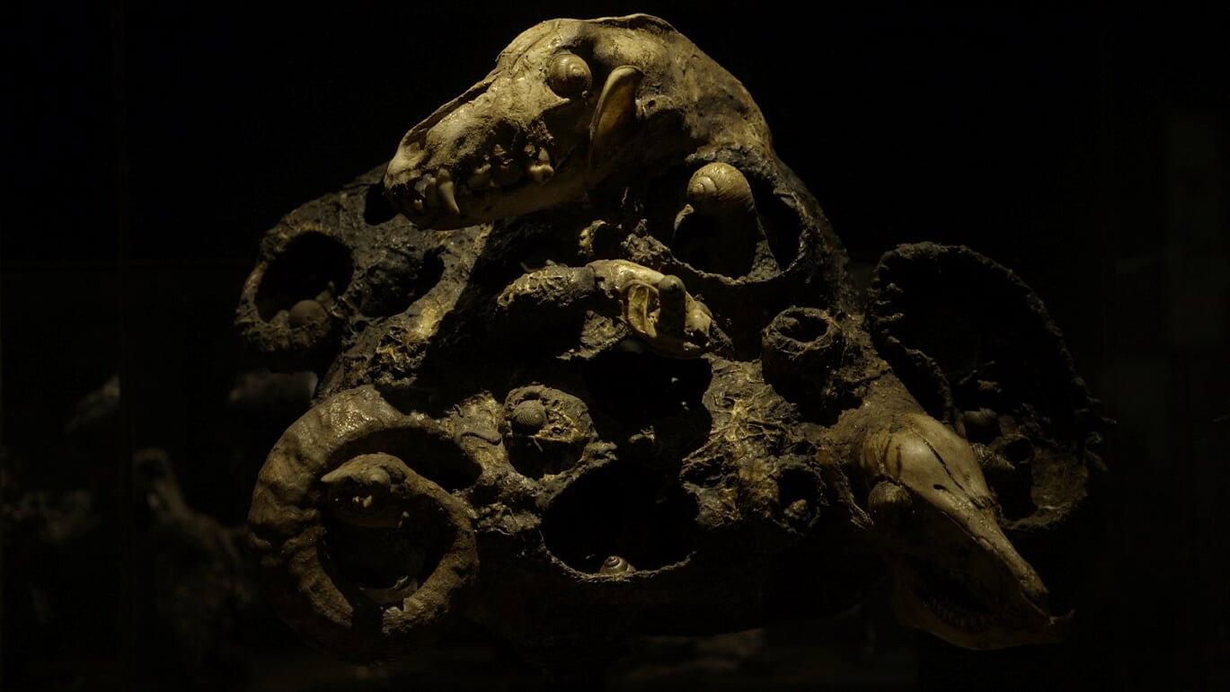 Alchemical Furnace 2020 movie scene