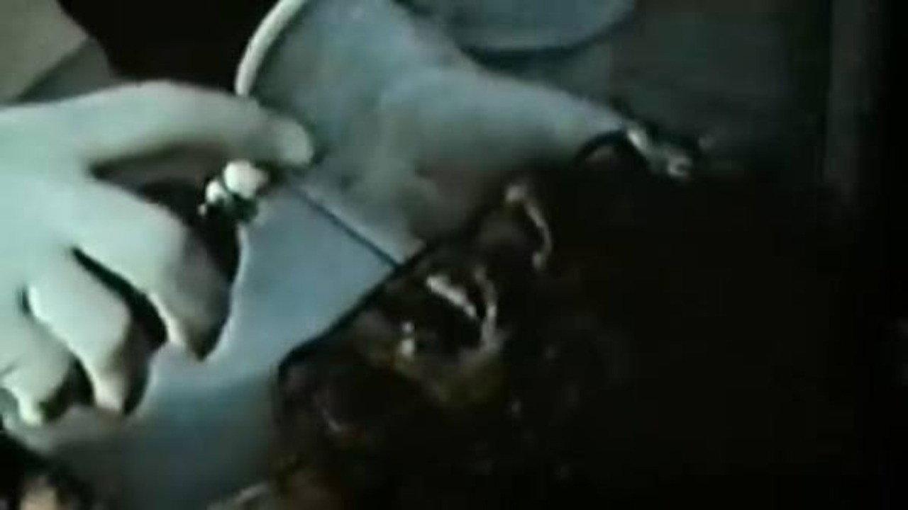 Opus Hominis 2 1996 movie scene