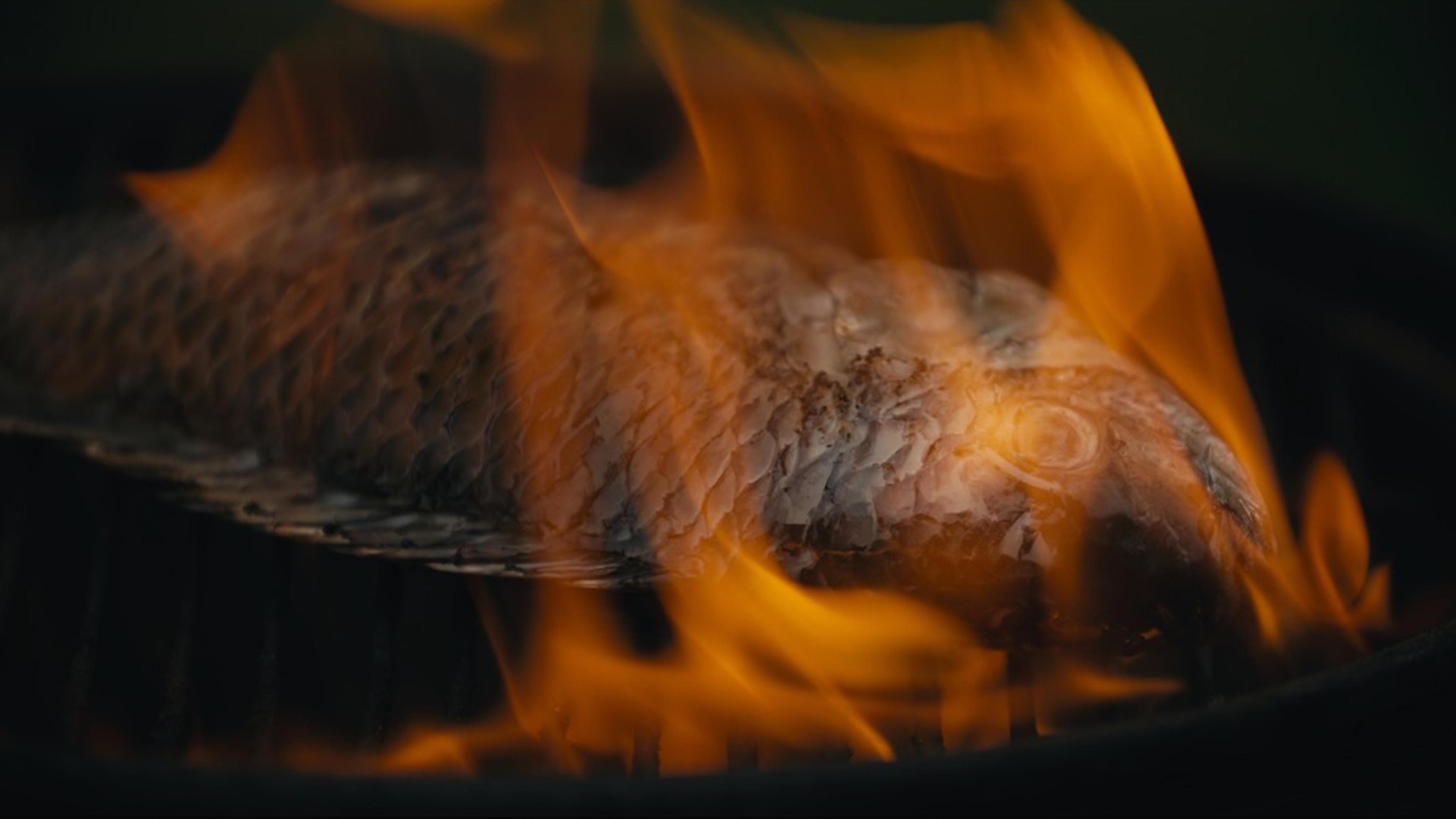 FOUR ARMS, FOUR LEGS AND TWO FACES movie scene