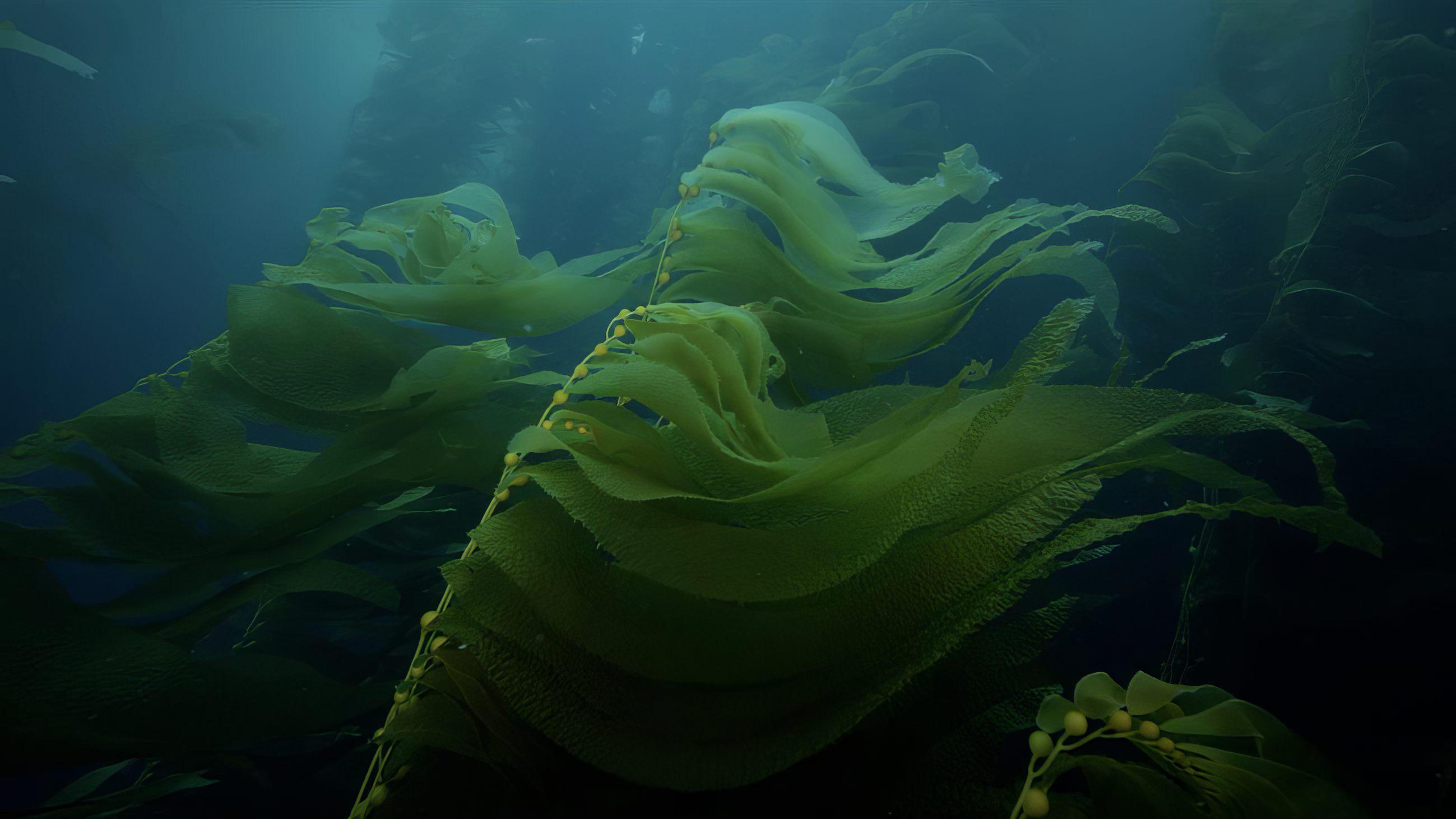 Charismatic Megafauna 2019 movie scene