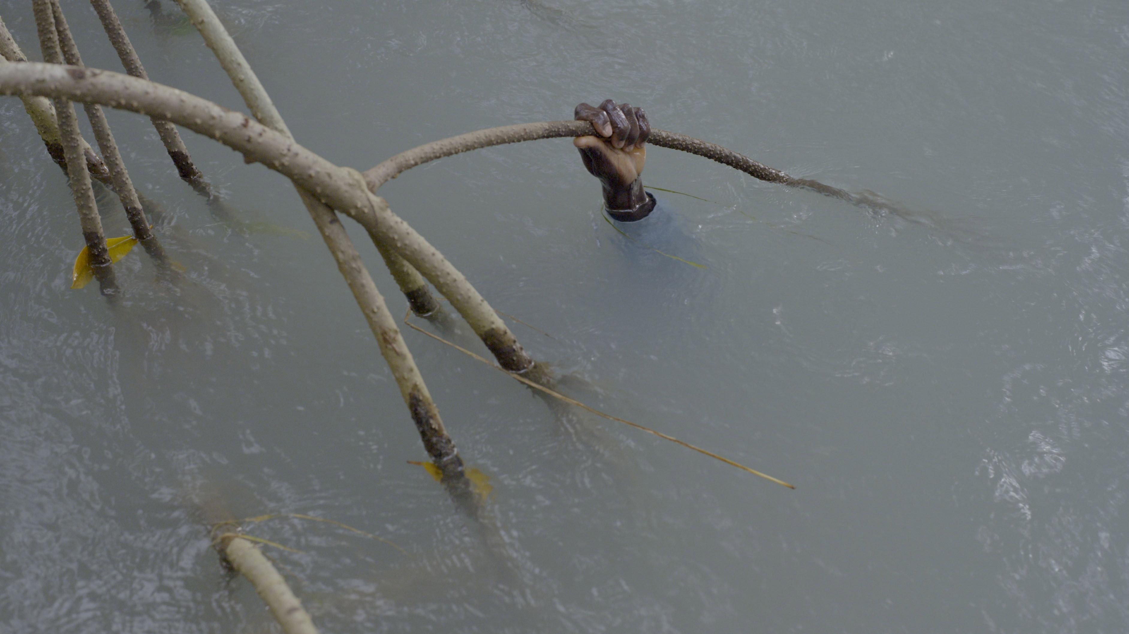 Mangrove School 2022 movie scene