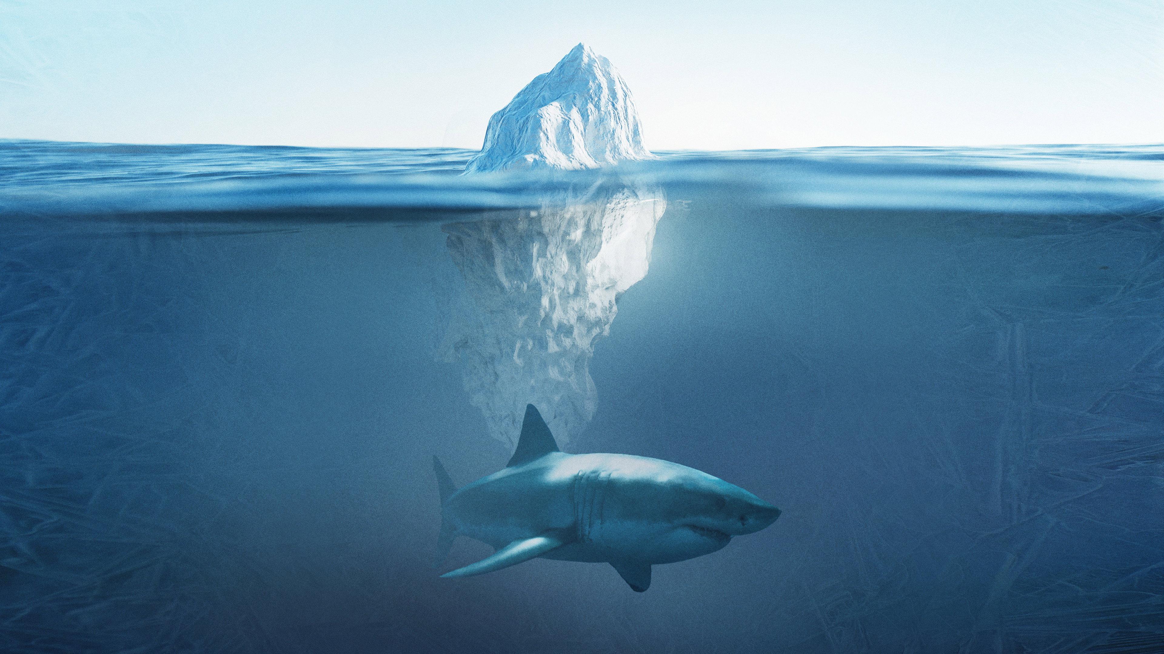 Shark Below Zero 2023 movie scene