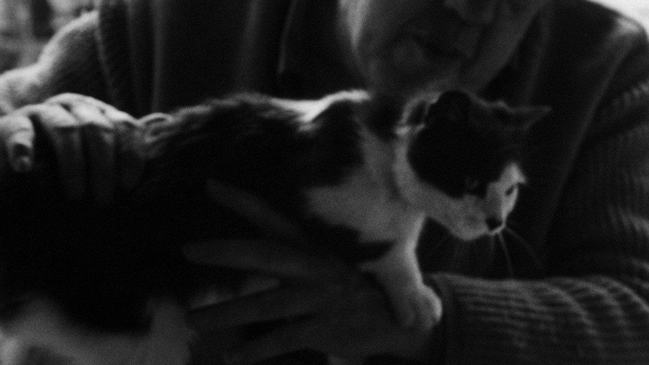 Michel Simon 1964 movie scene