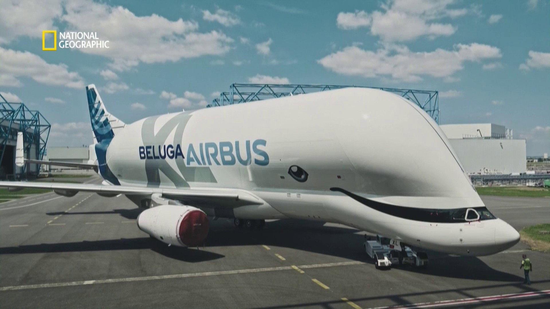 Megastructures: Airbus Beluga XL 2019 movie scene