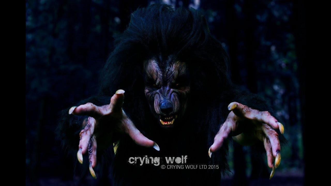 Crying Wolf 2015 movie scene