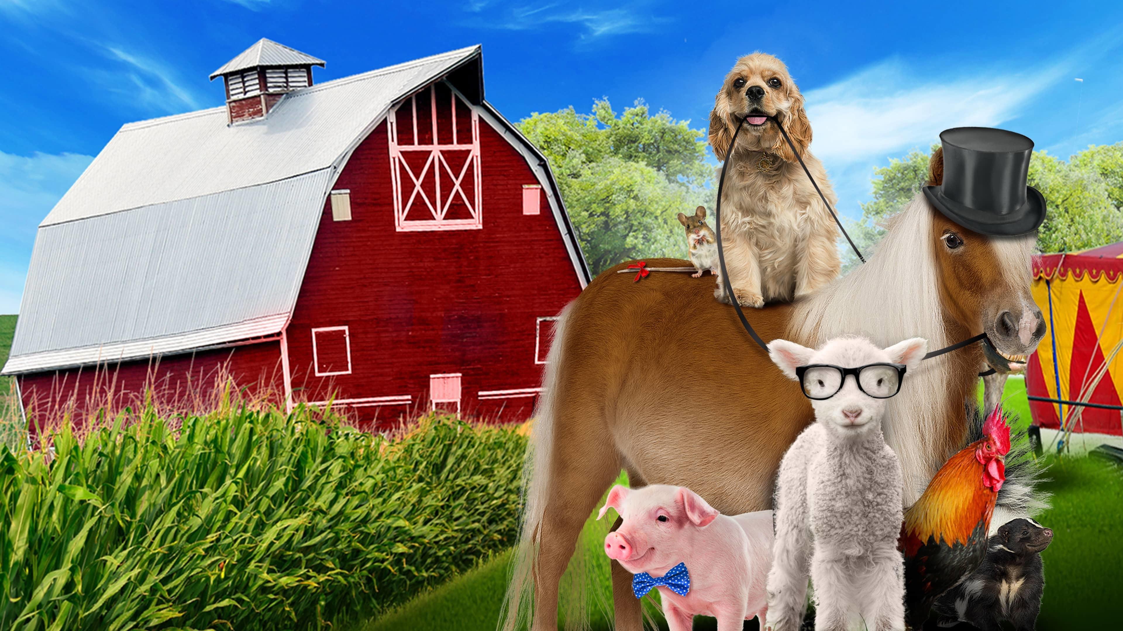 A Dog and Pony Show 2018 movie scene