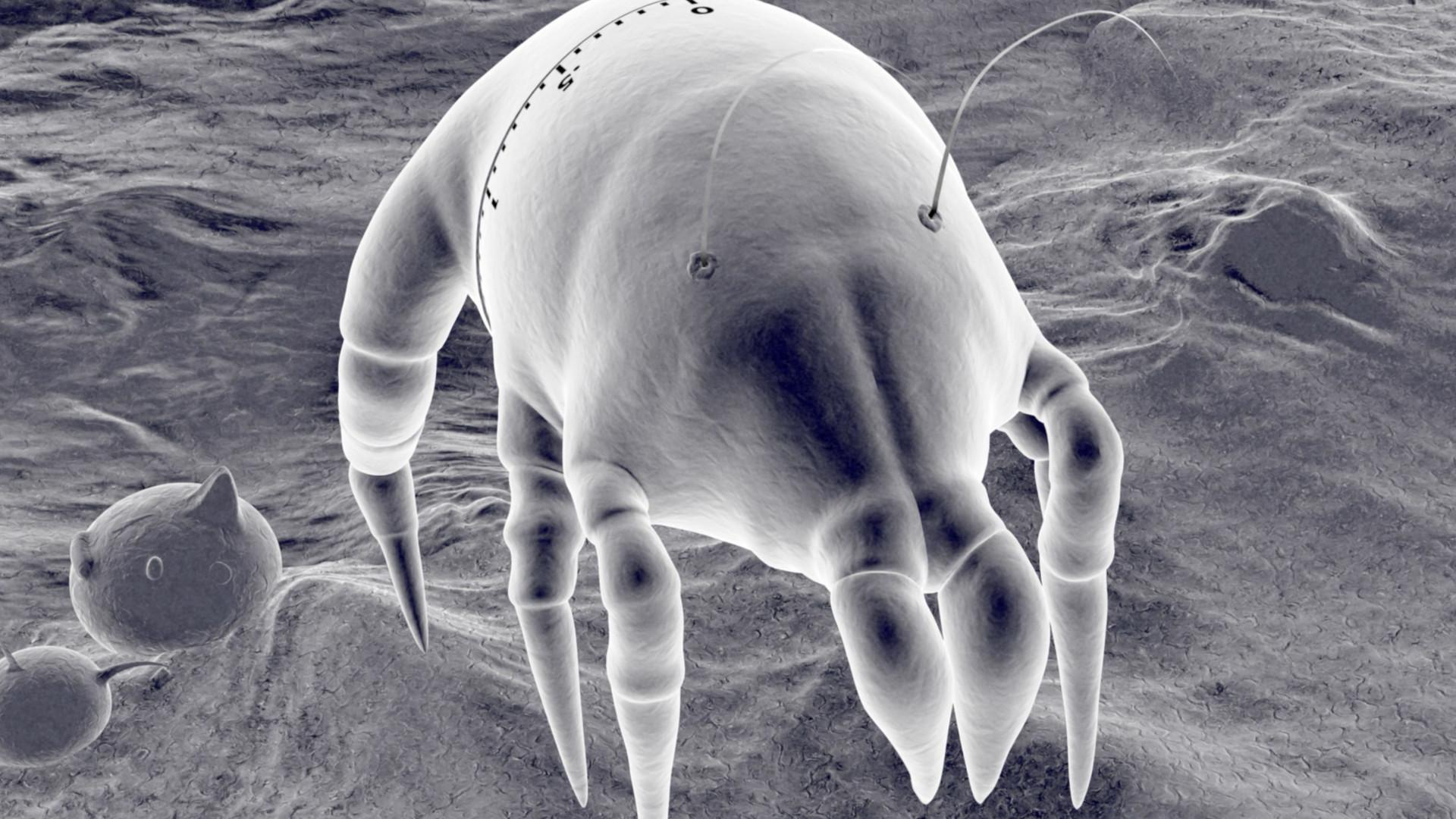 Gonna Get Along Without You Now (Dustmite) 2021 movie scene