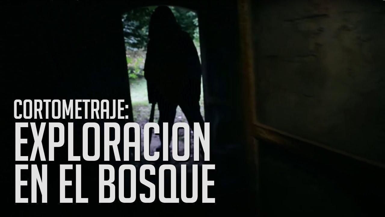 Tragic Search in the Woods 2017 movie scene