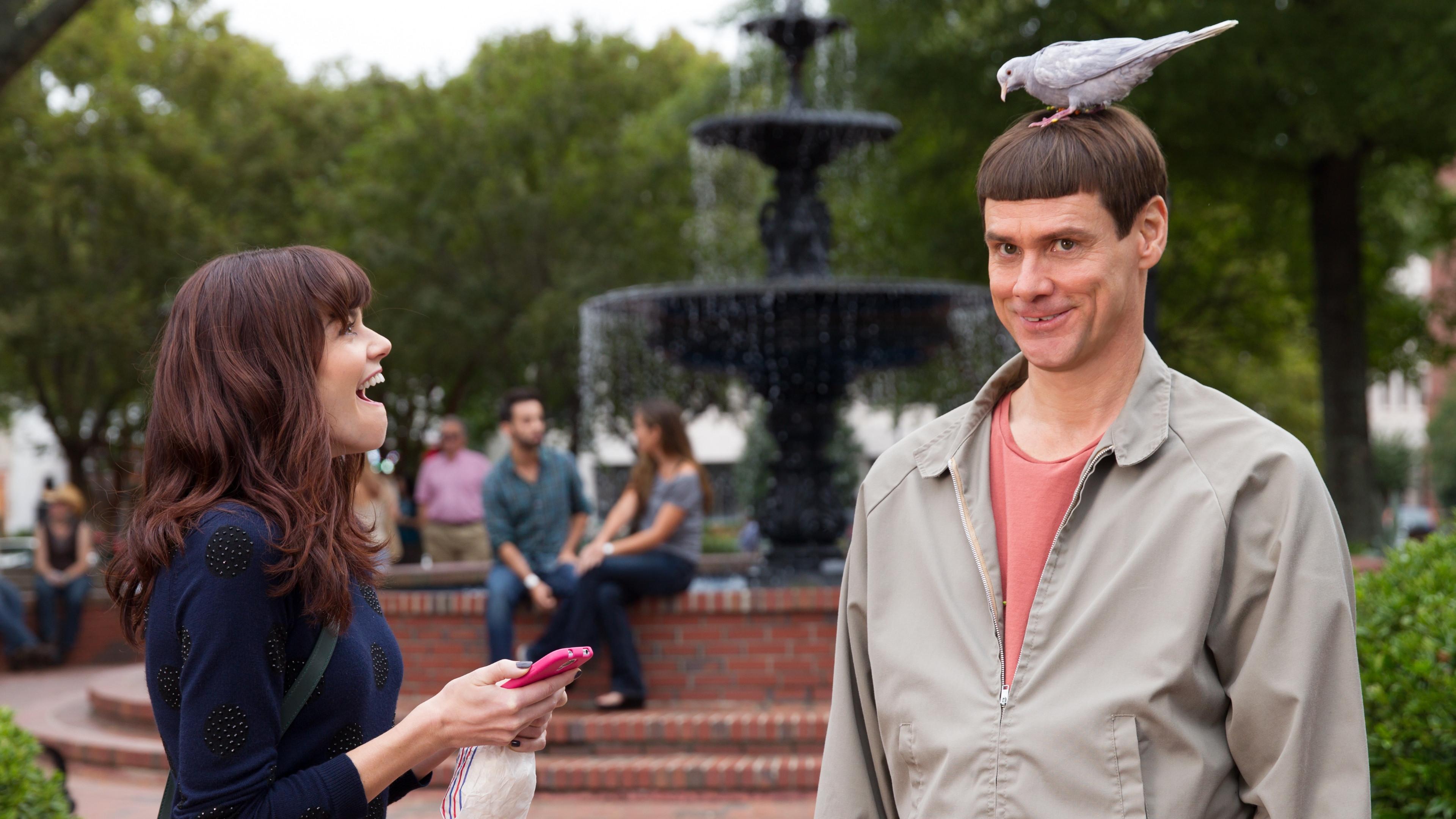 Dumb and Dumber To 2014 movie scene