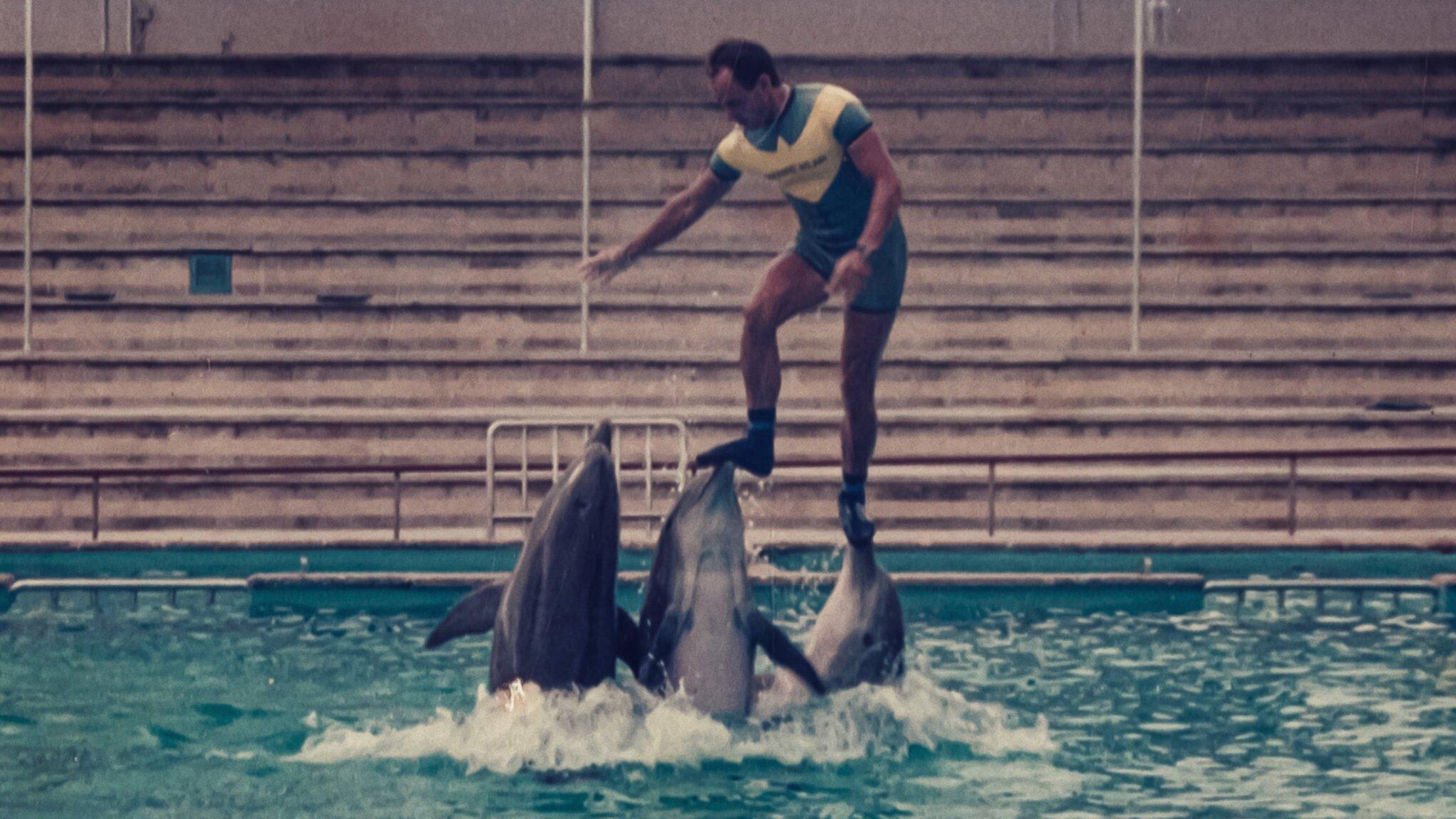 The Last Dolphin King 2022 movie scene