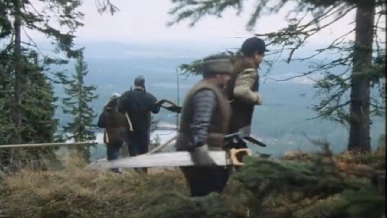 The Chainsaw 1983 movie scene