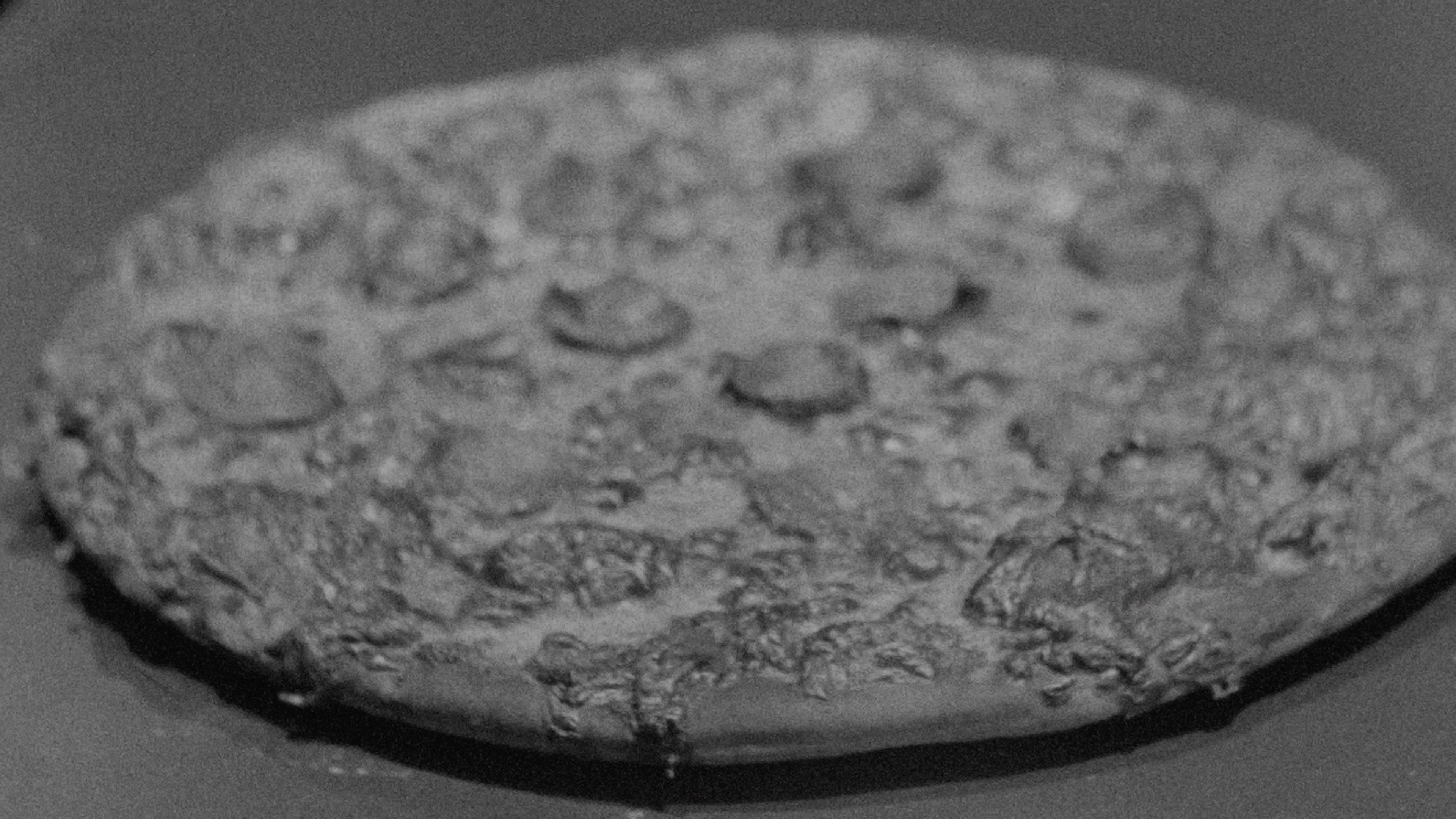Pizza Time! 2025 movie scene