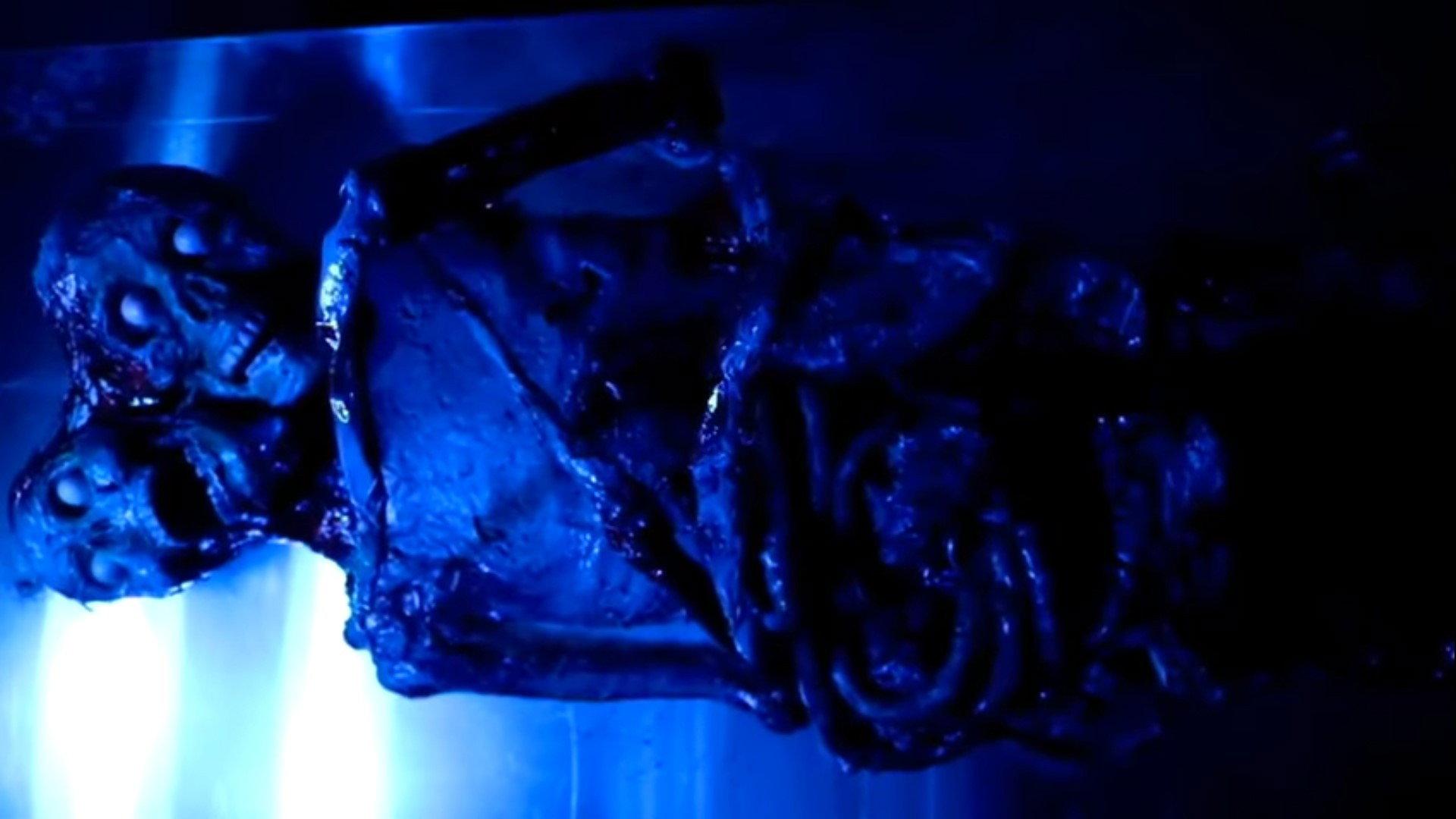 Teratomorph 2019 movie scene