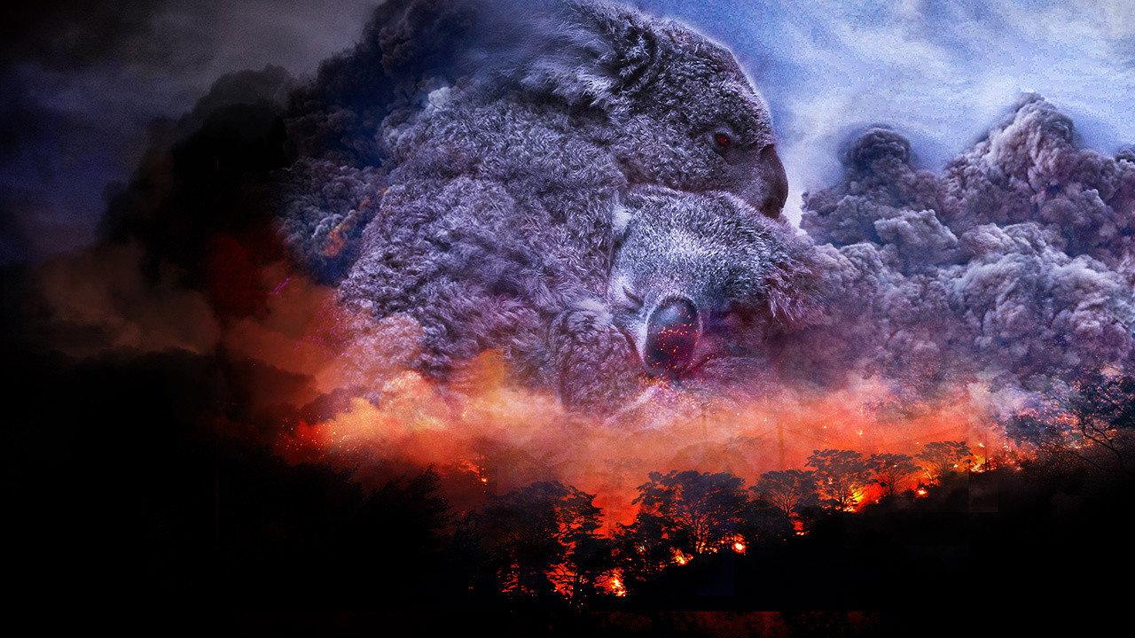 Wild Australia: After the Fires 2020 movie scene