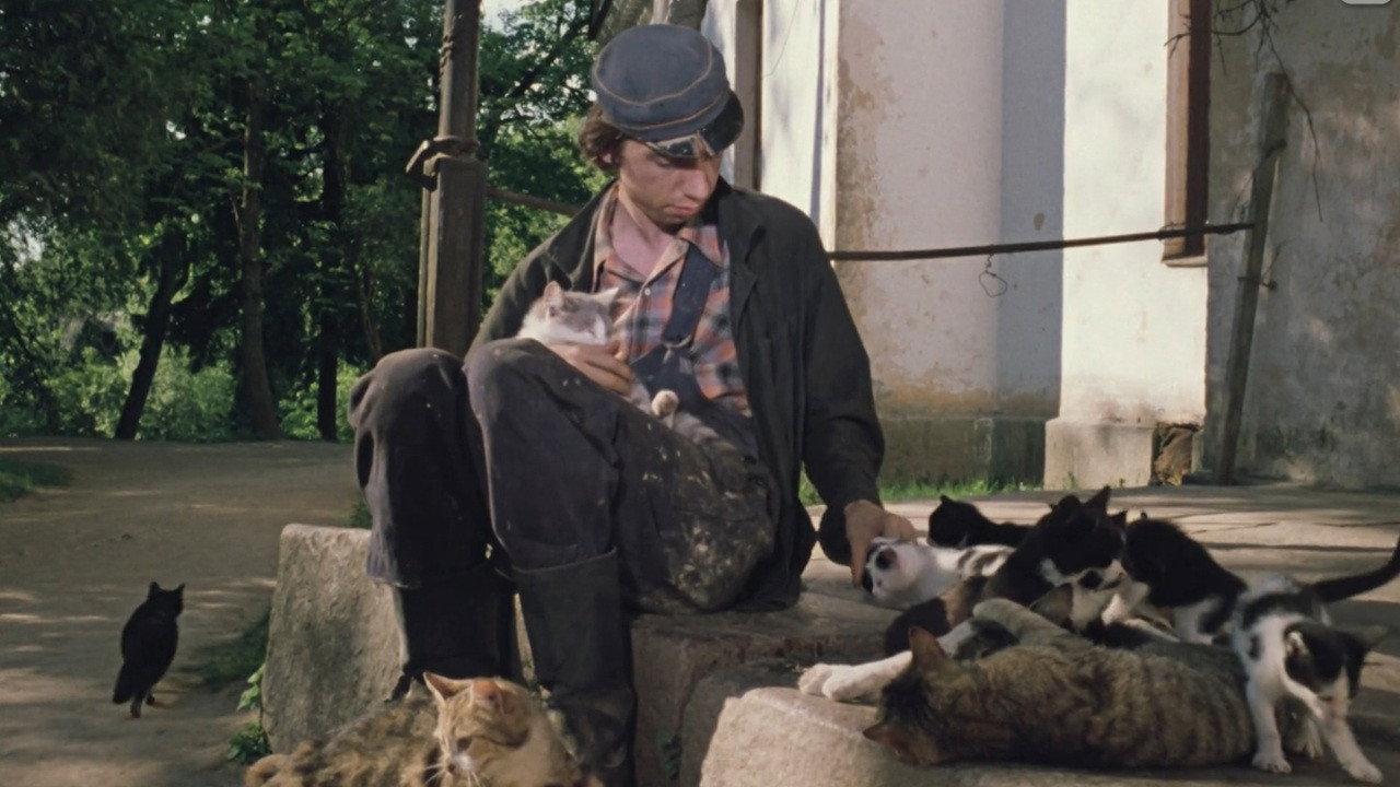 Stereo 1978 movie scene