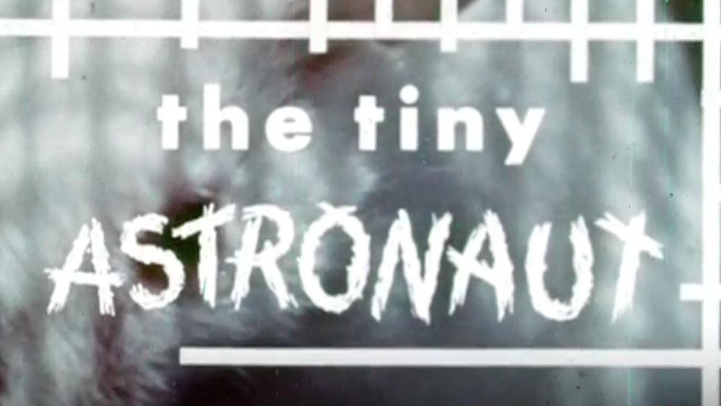 The Tiny Astronaut 1966 movie scene