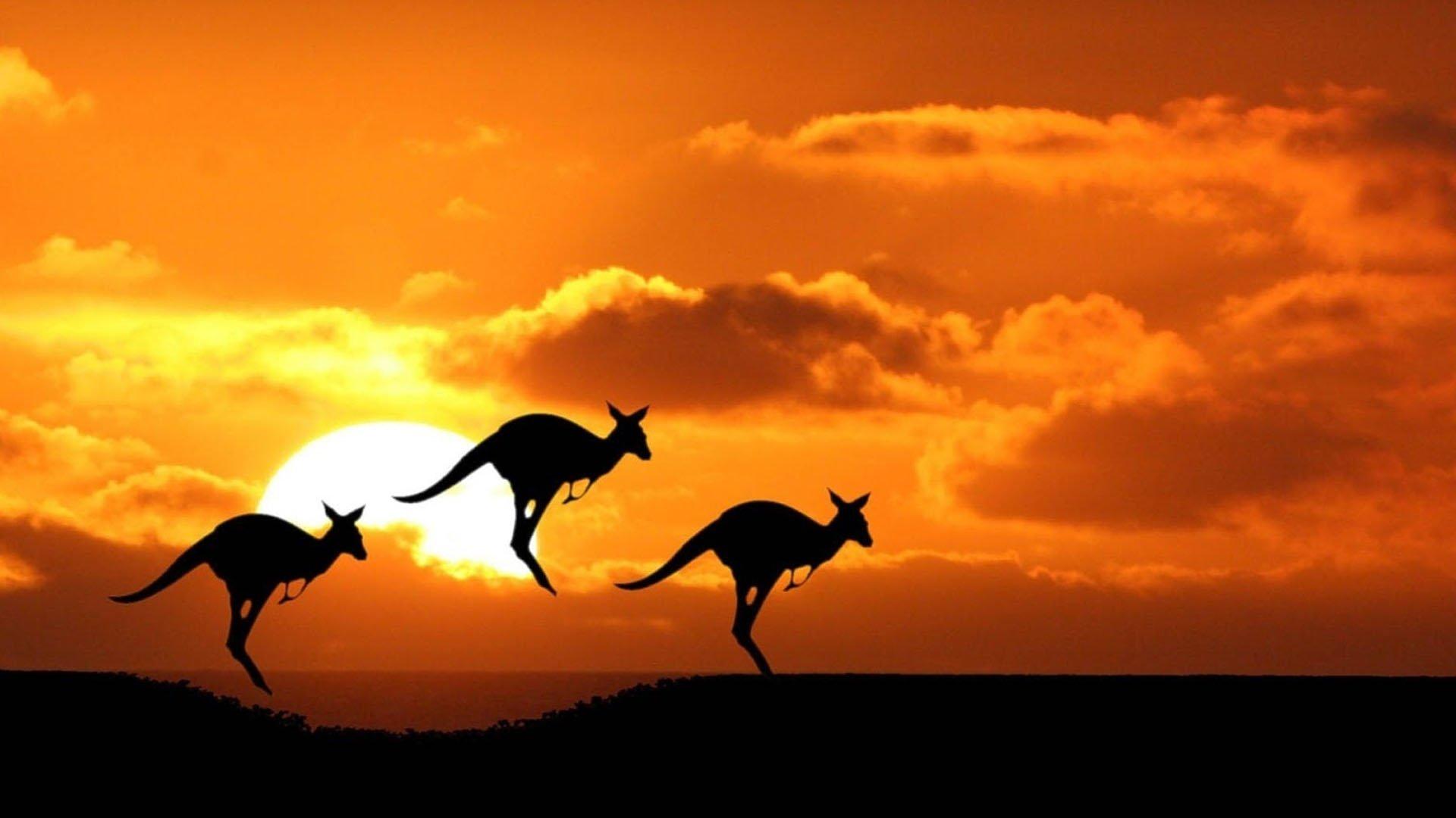 Australia: Land Beyond Time 2002 movie scene