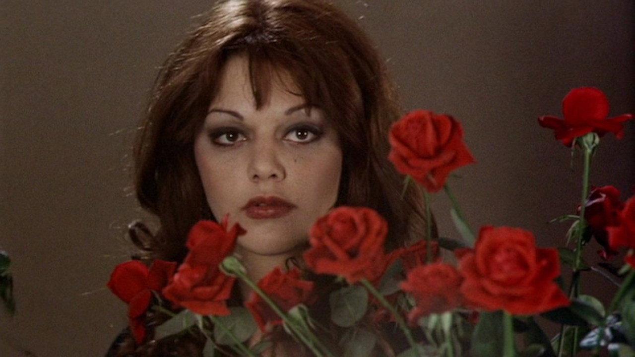 Lifespan 1975 movie scene
