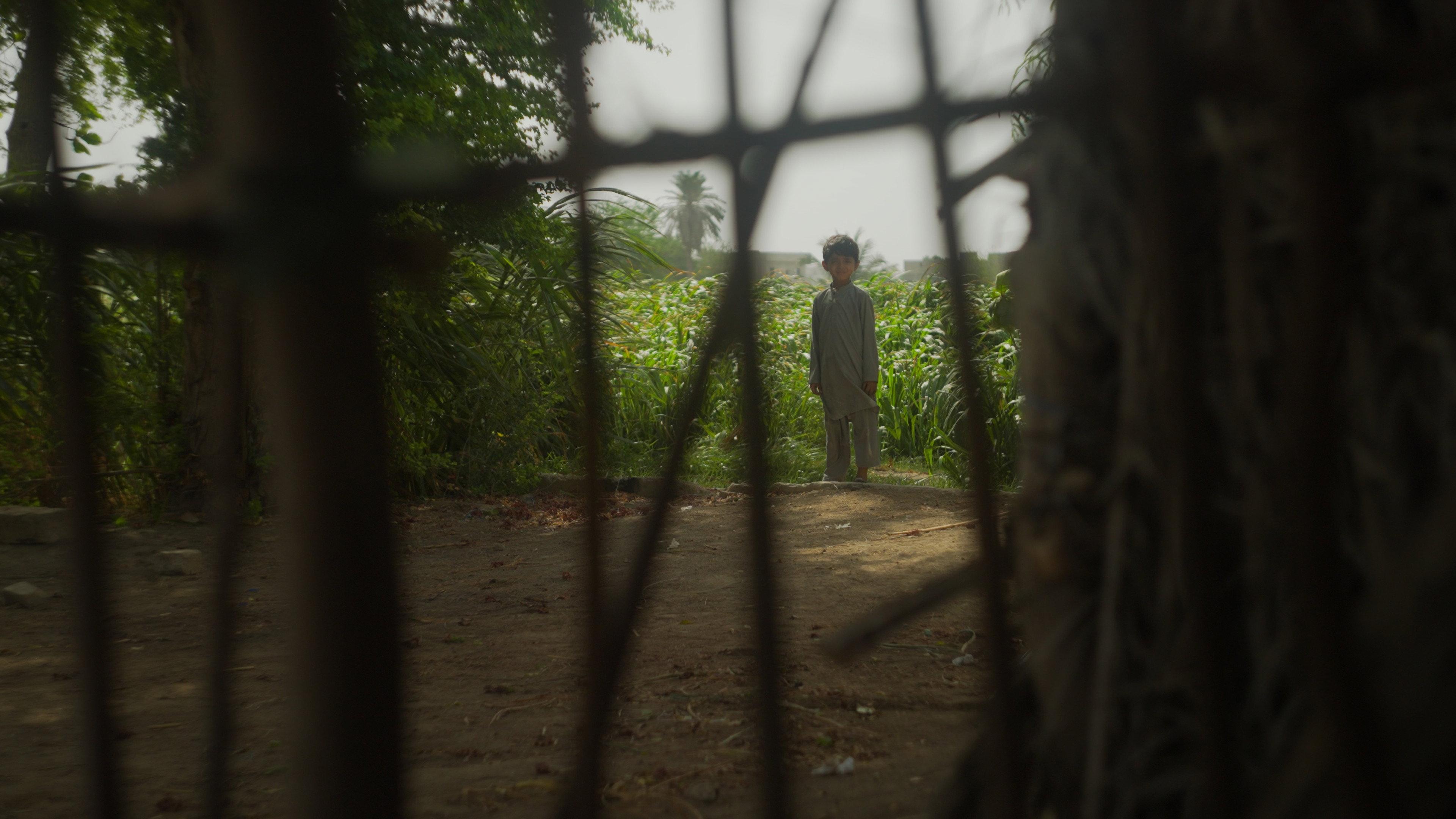 Portrait Of Life  movie scene