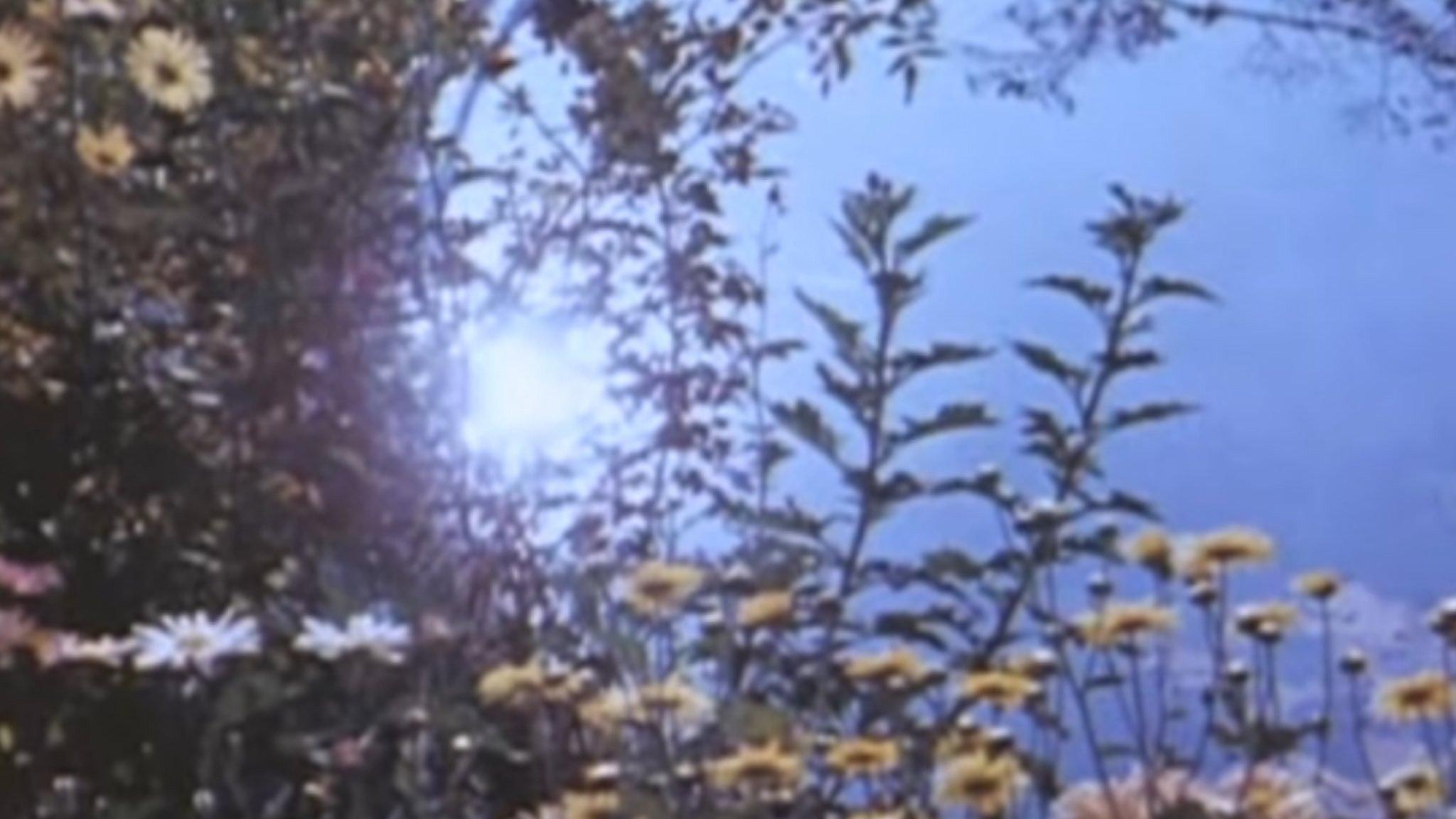 Angel 1957 movie scene