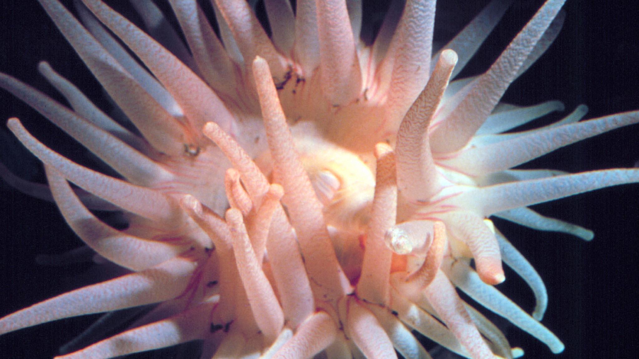 The Intertidal Zone 1985 movie scene
